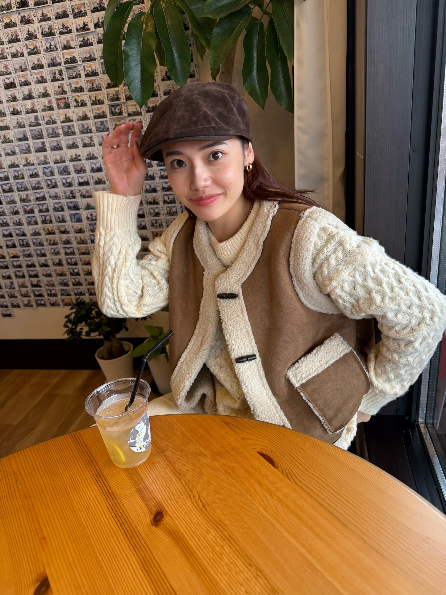 ブラウンファーベスト DPB47490