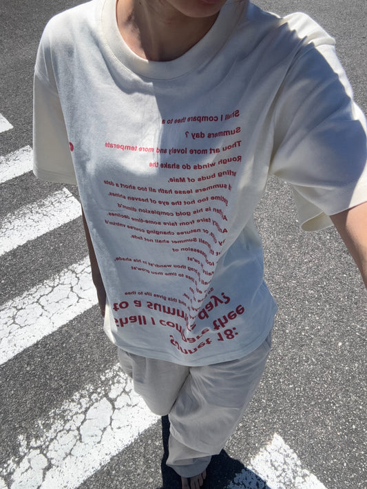 オーバーレタリングTシャツ DPC07047