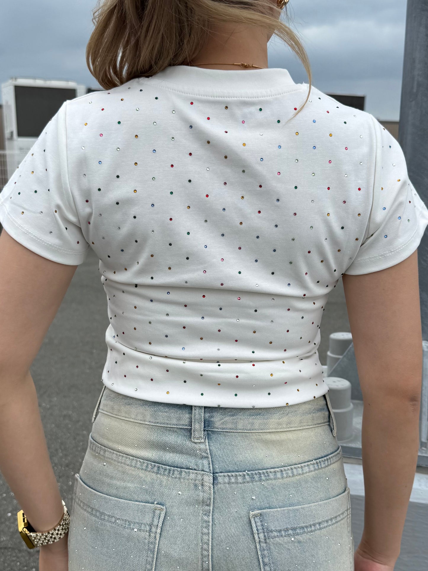 ストーンTシャツ DPB73667