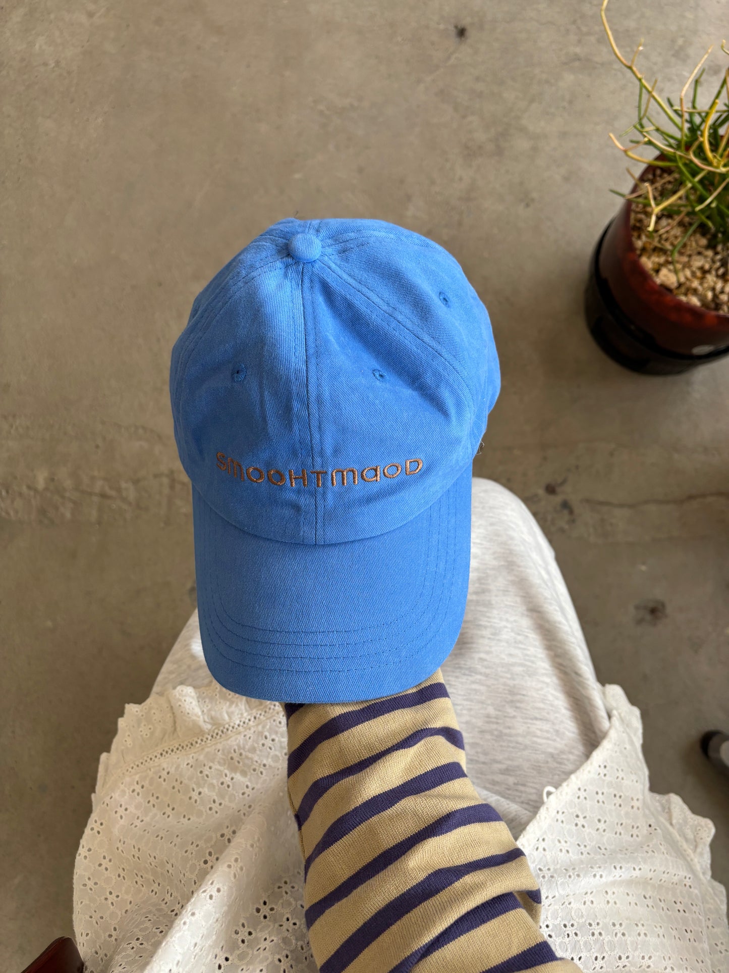 ポイントロゴキャップ DPB84290