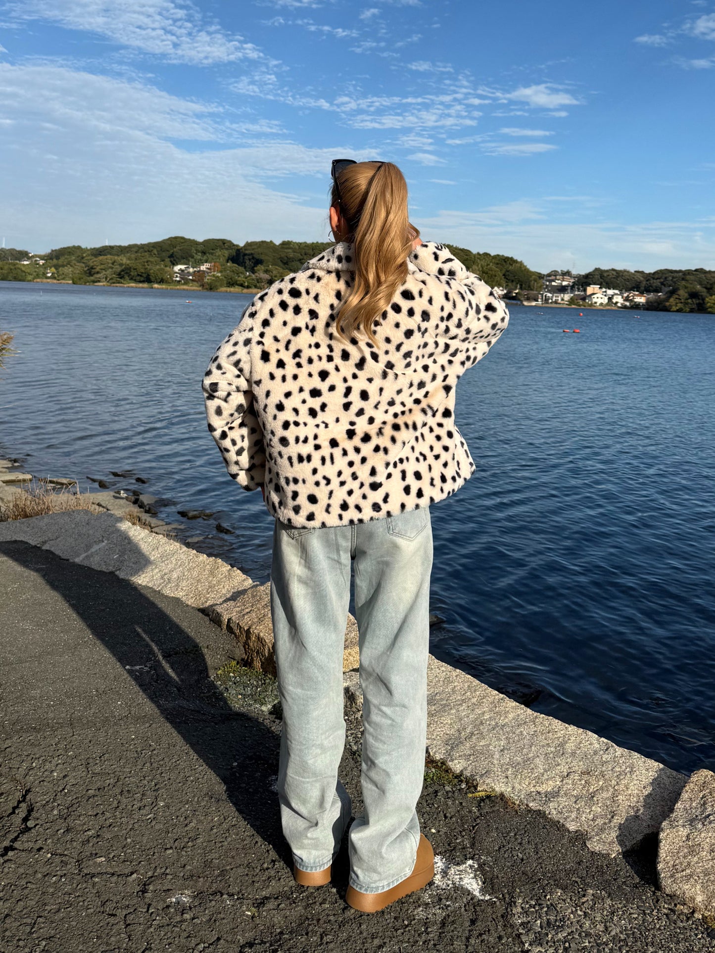 ダルメシアンアウター DPB73519