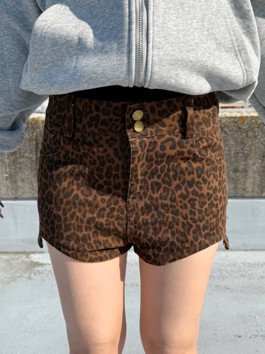 レオパードミニショートパンツ DPB73535