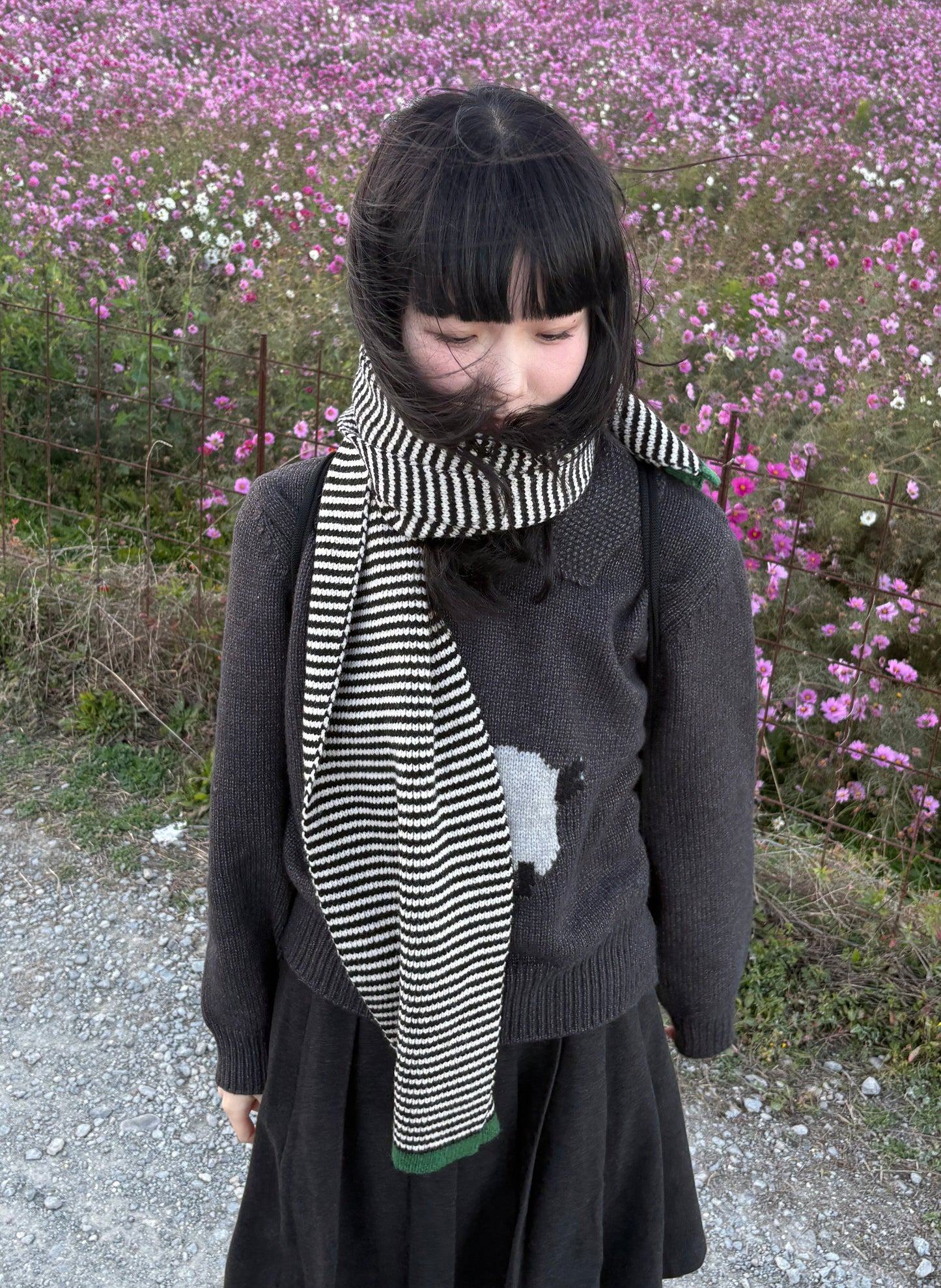 ボーダーニットマフラー DPA43730