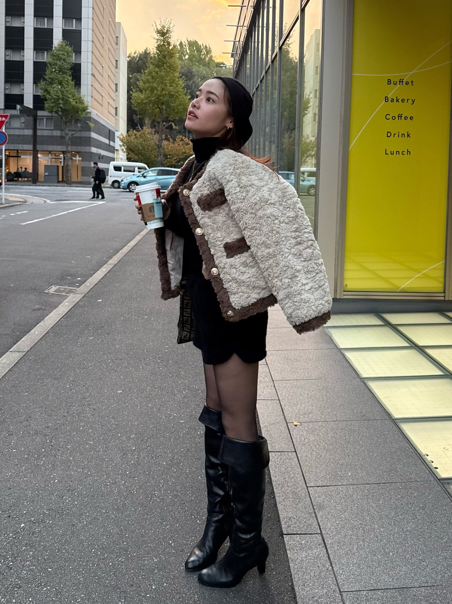 ブラウンファーコート DPB47491