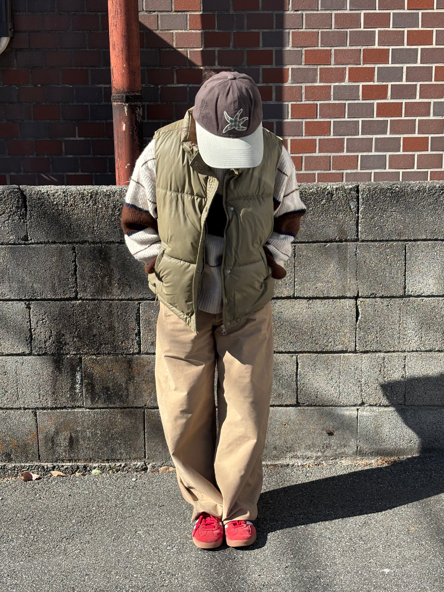 デザインラインニット DPB84291