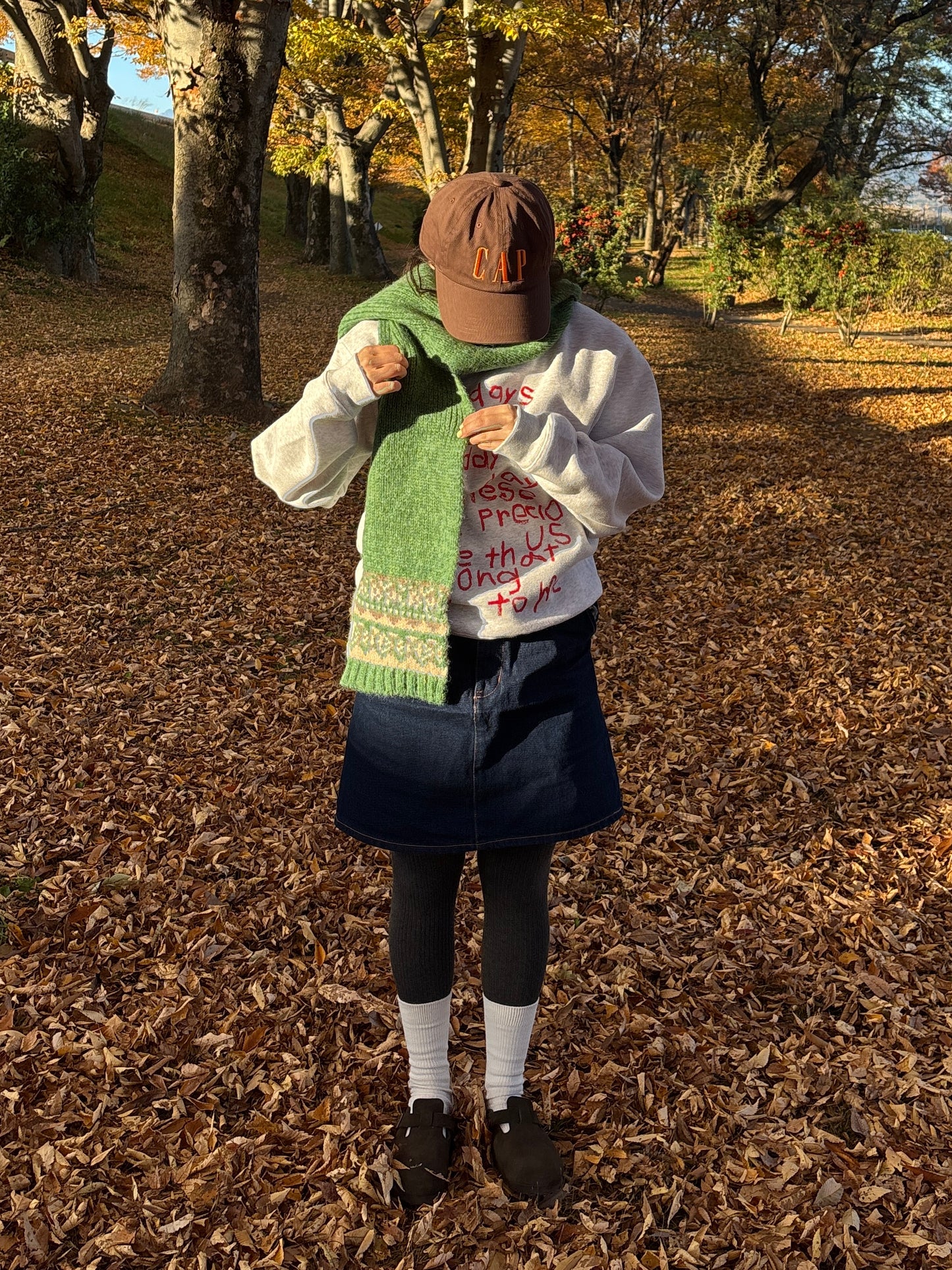 ノルディックマフラー DPB84267