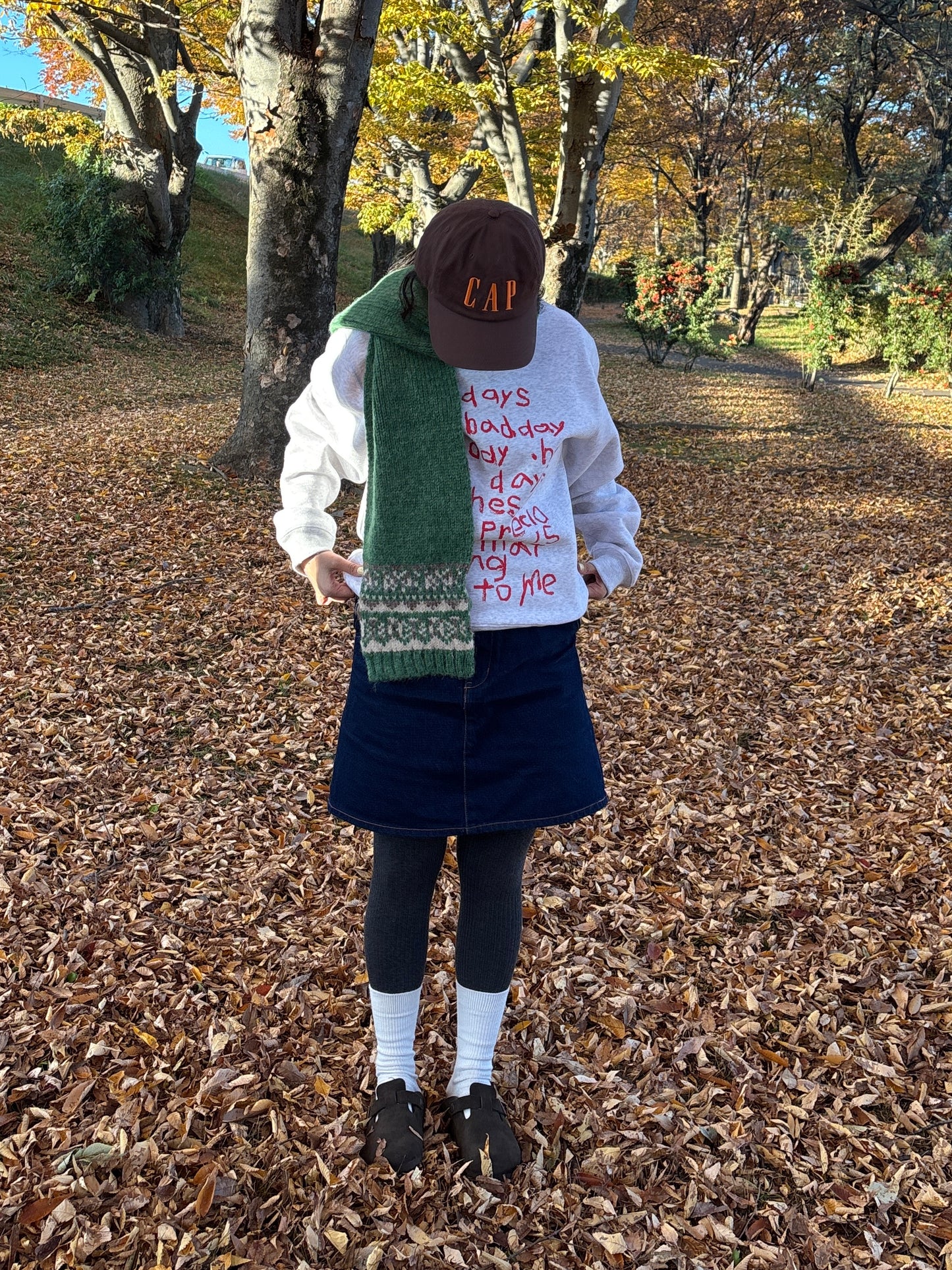 ノルディックマフラー DPB84267