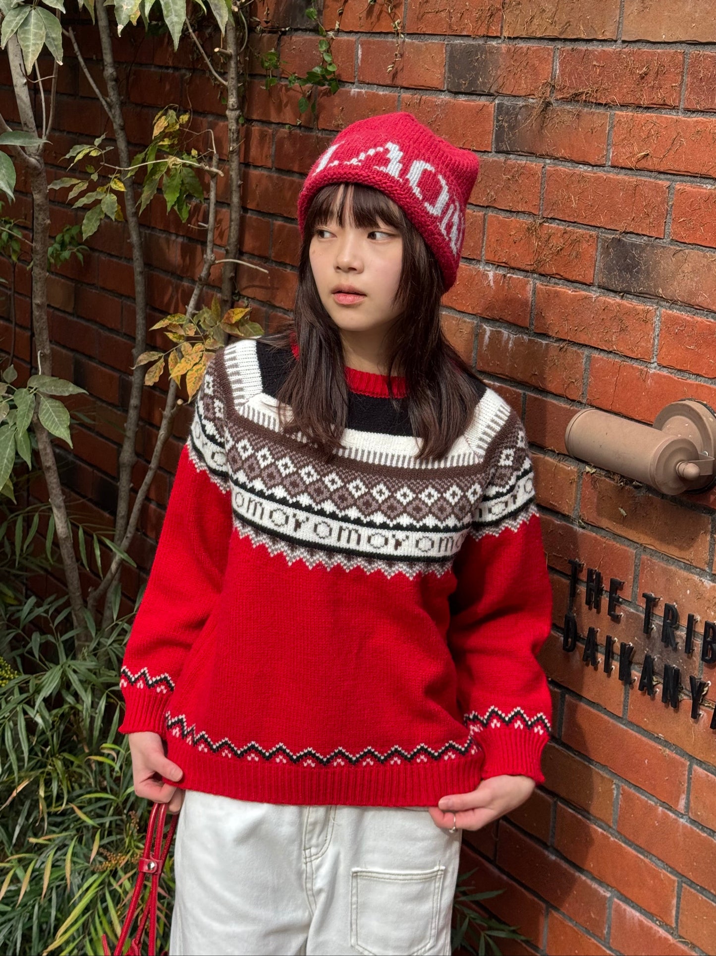 ノルディック柄ニットプルオーバー DPB91055