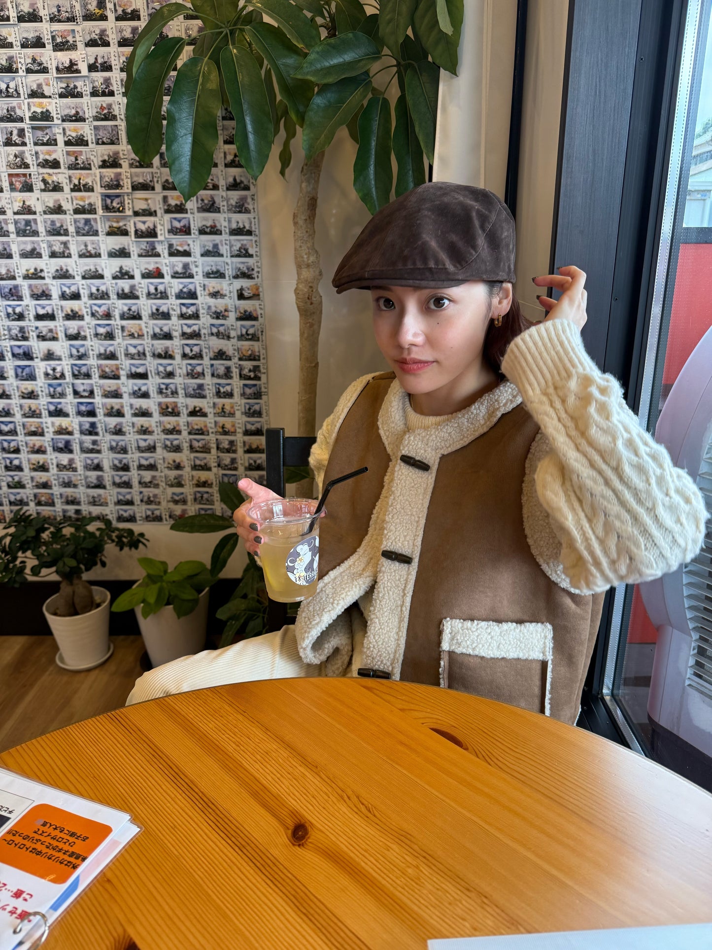 ブラウンファーベスト DPB47490