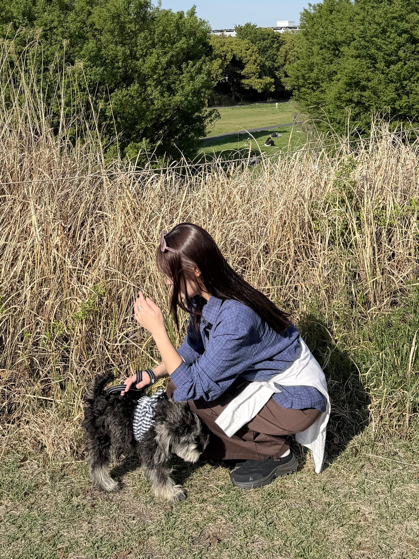 ナイロンアイラインスカート DPB78279