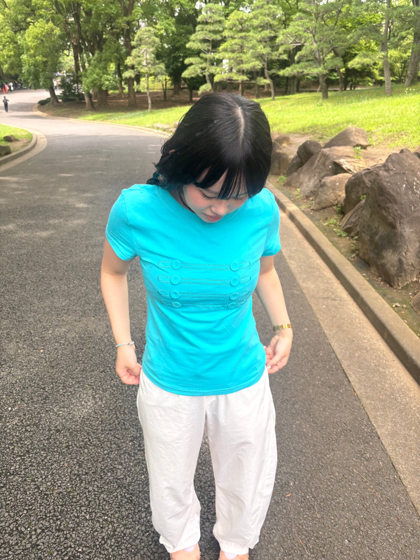 ナポレオンデザインT DPC04095