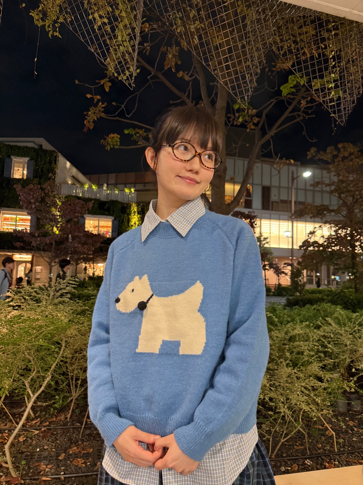 ドッグブルーニット DPA43674