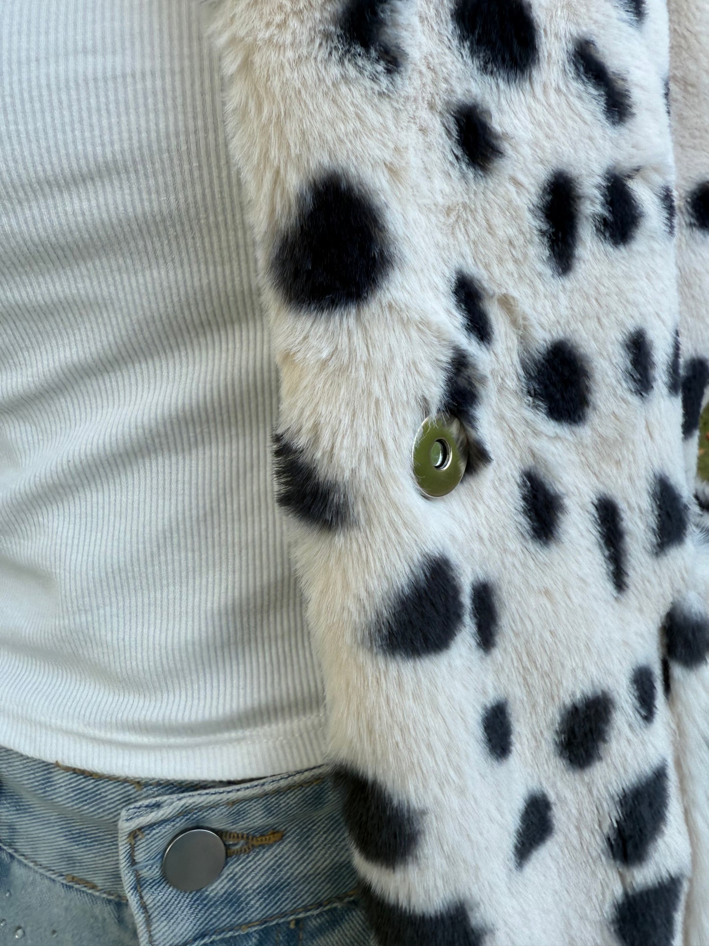 ダルメシアンアウター DPB73519