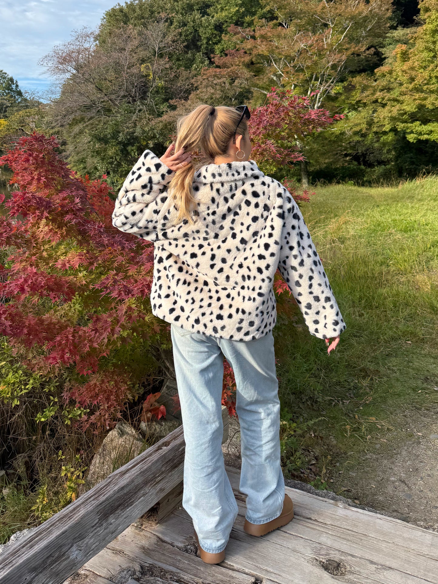 ダルメシアンアウター DPB73519