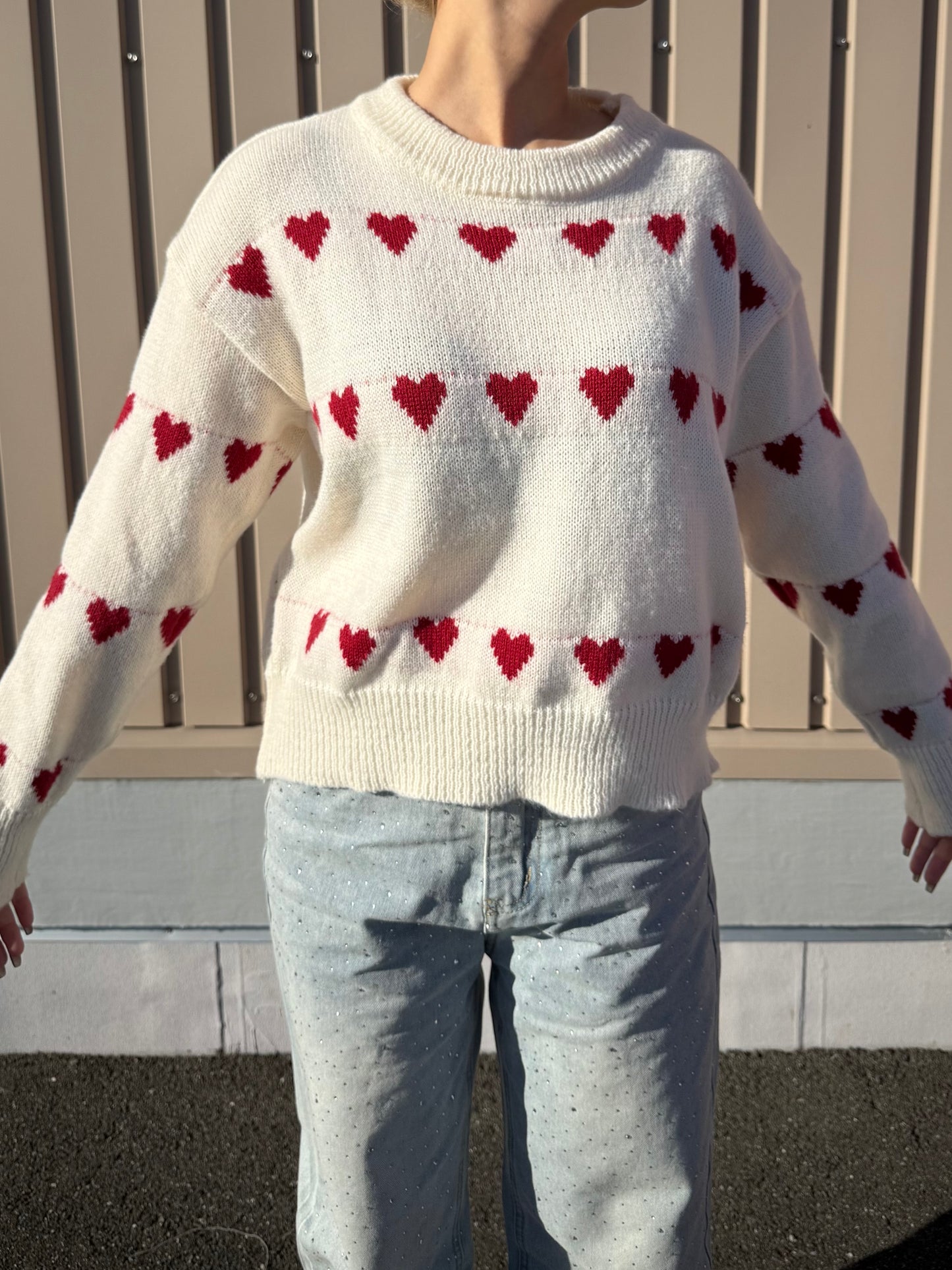 ラインハートニット DPB73483