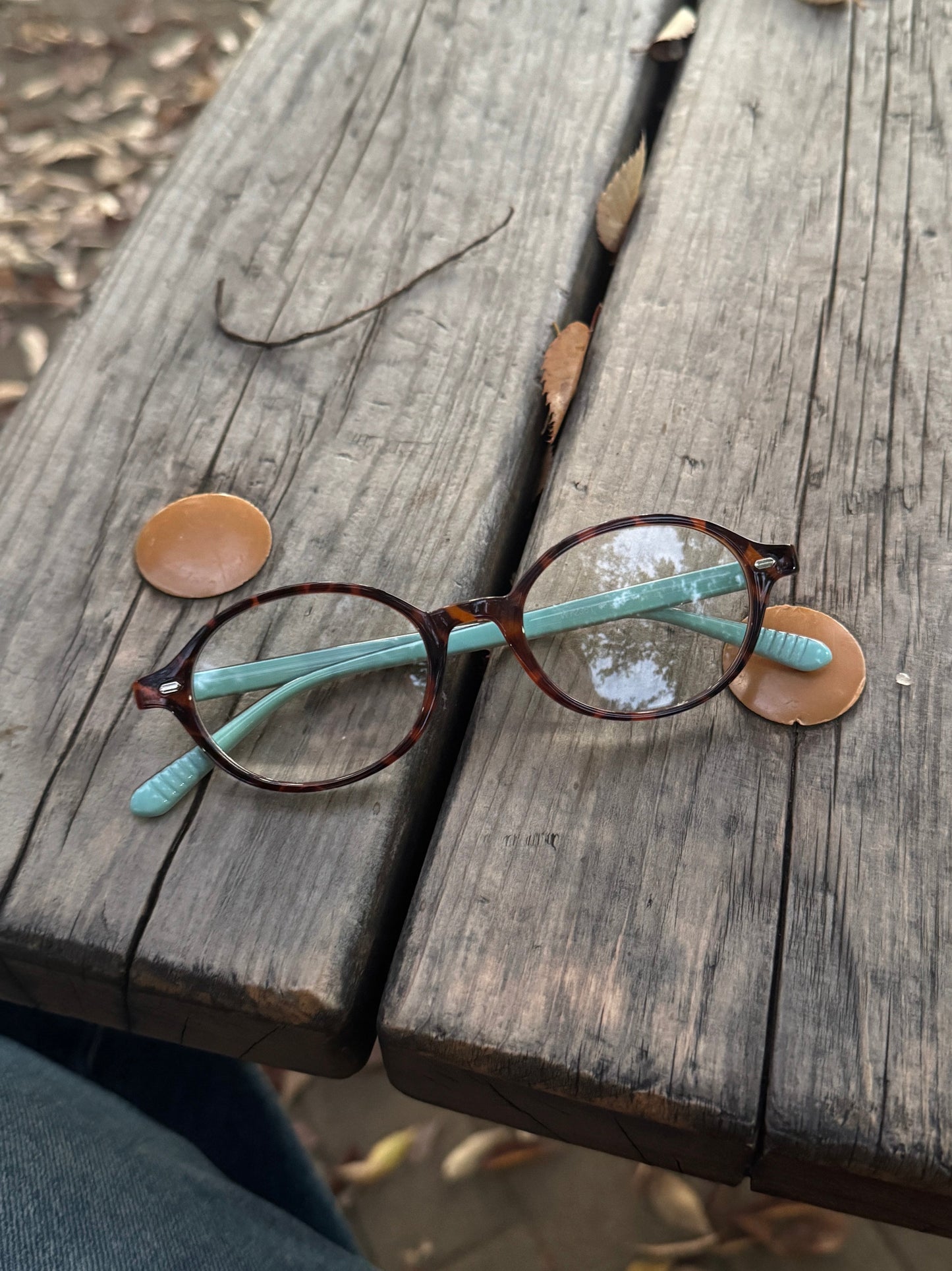 バイカラークリアメガネ DPB78176