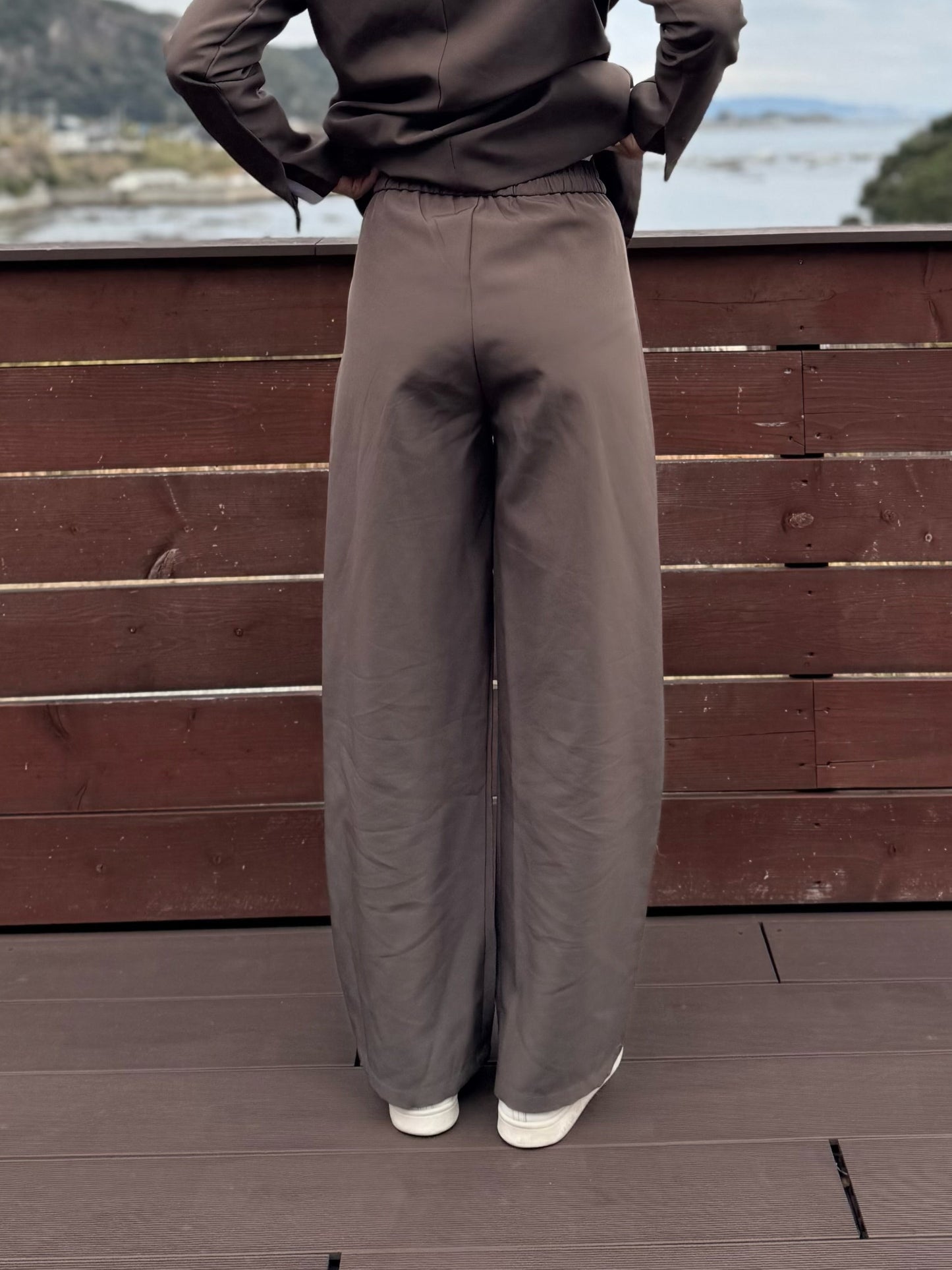 ブラウンセットアップ DPB47500