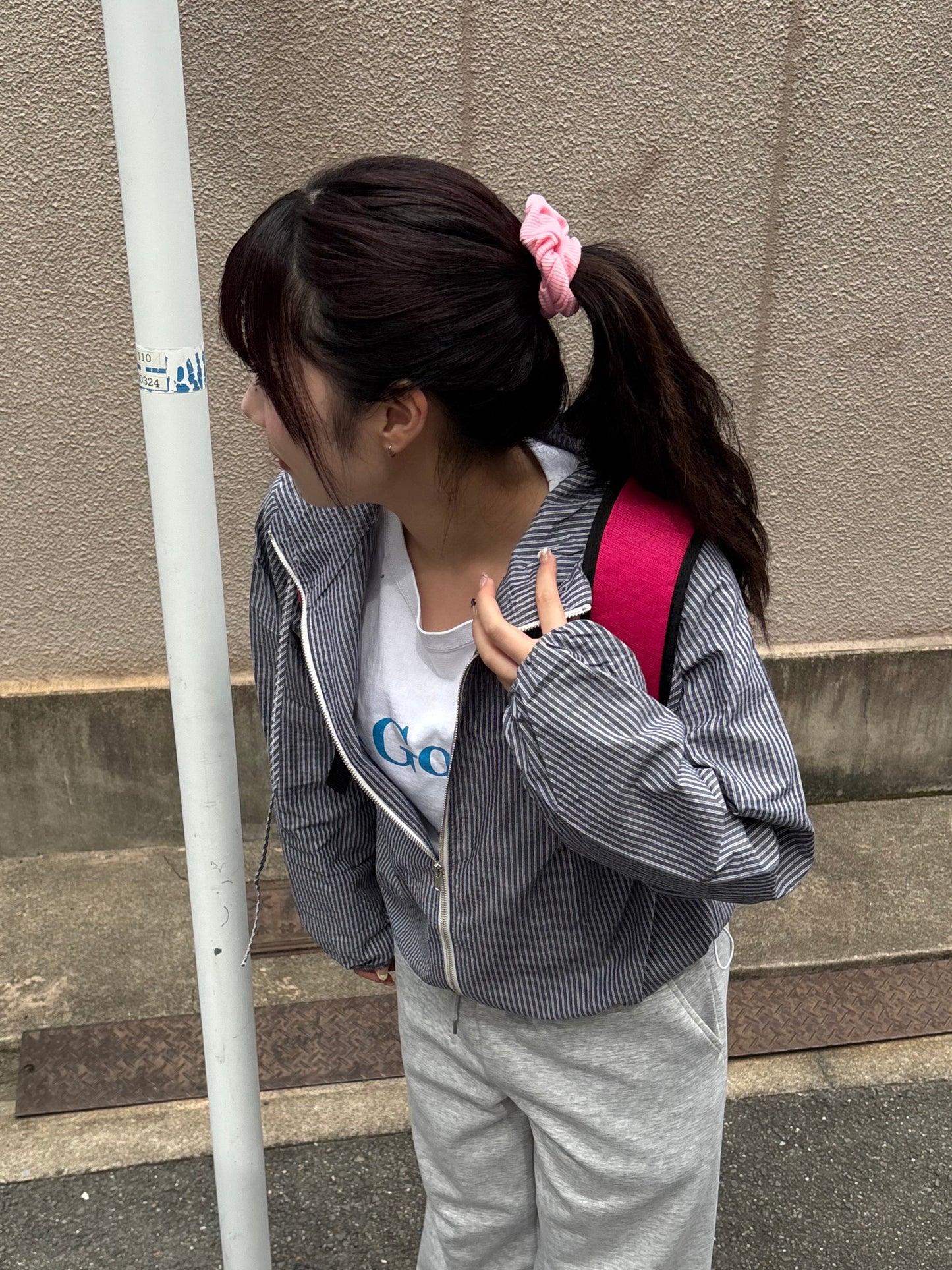 ストライプマウンテンパーカー DPB89081