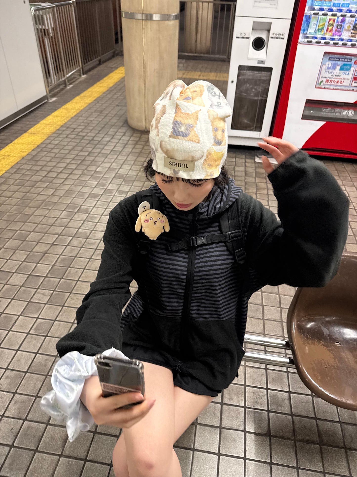 somm.ドッグビーニー DPB85461