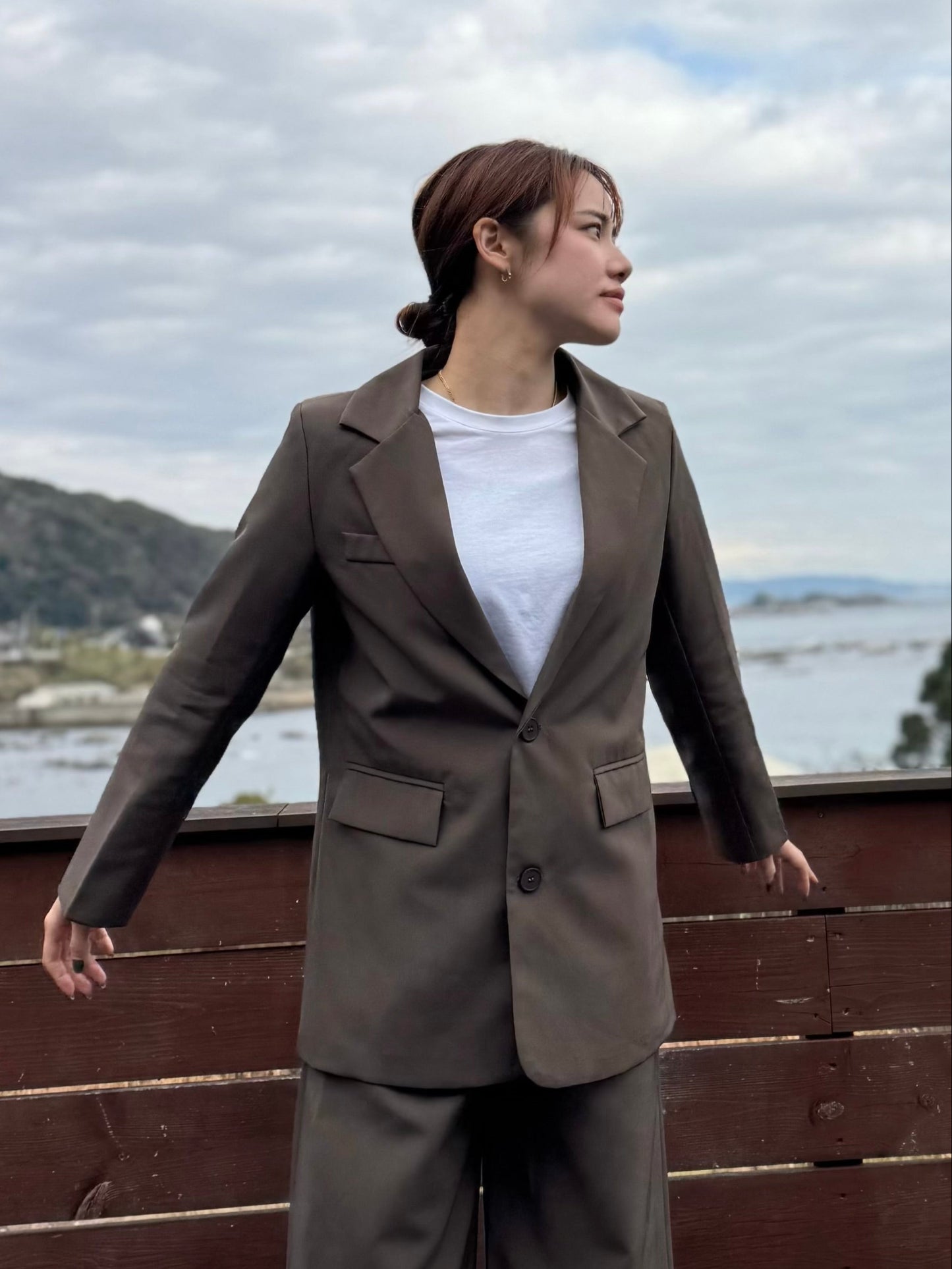 ブラウンセットアップ DPB47500