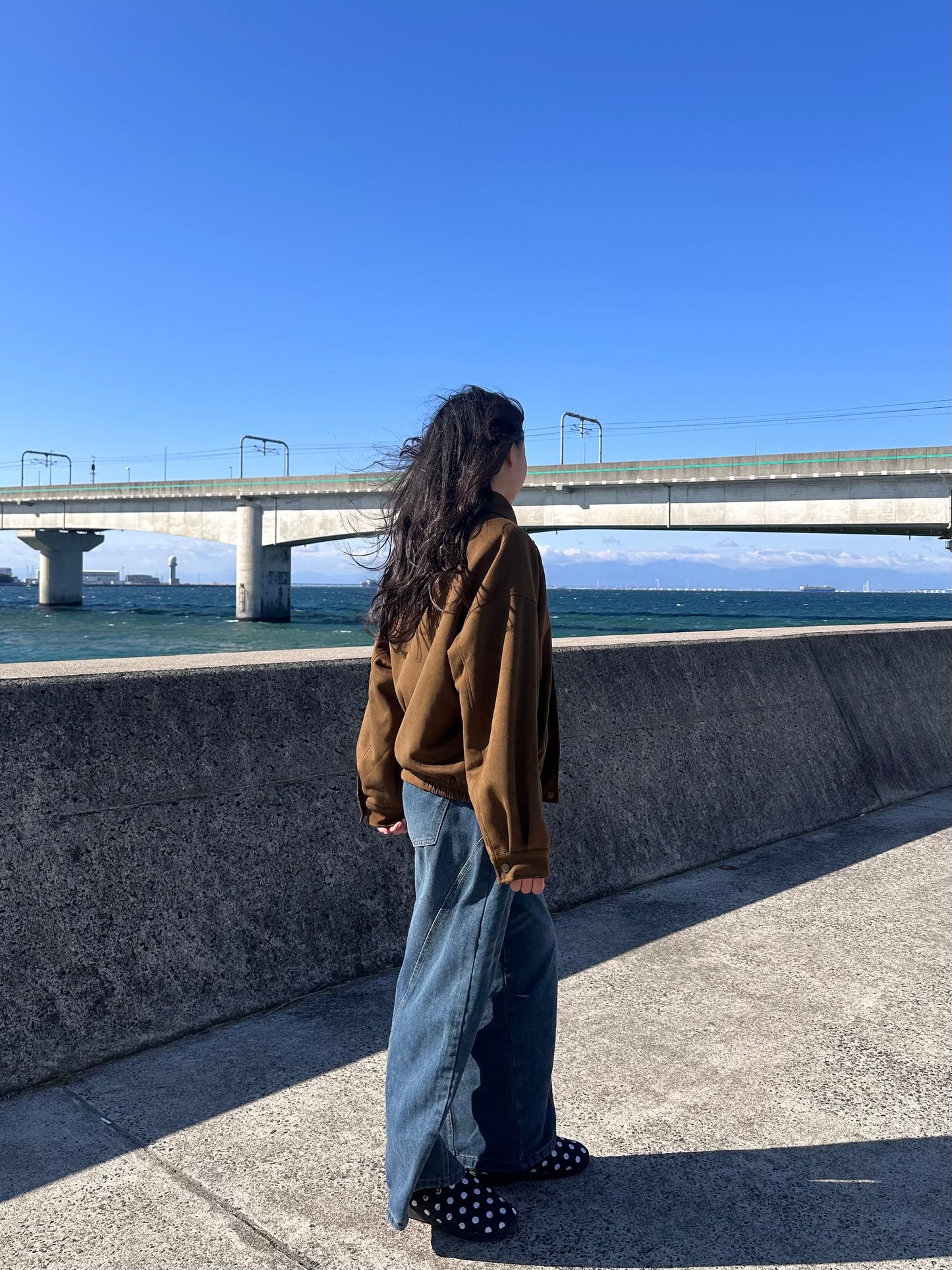 スエードライクジャケット DPB95059