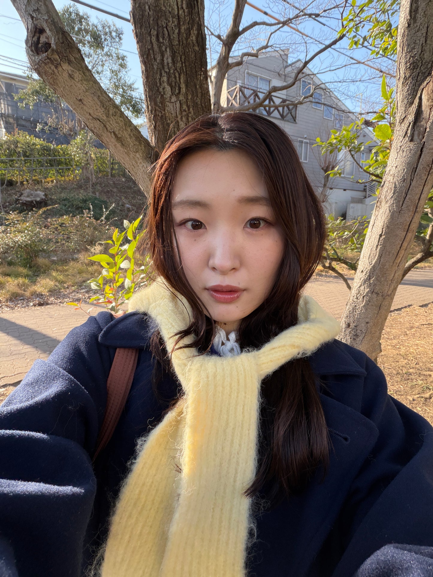 バラクラバライクマフラー DPB78241