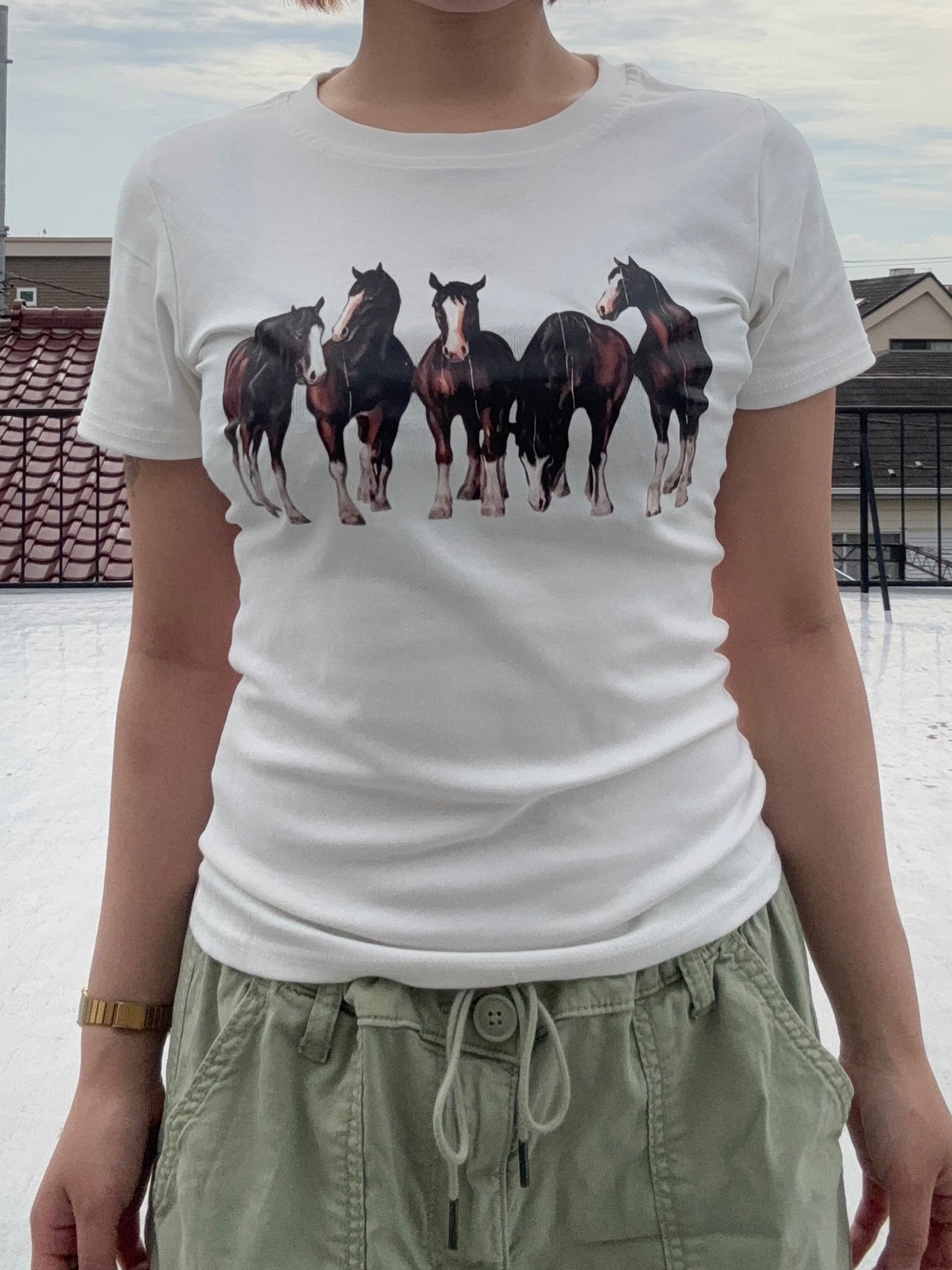 ホースTシャツ DPC04067