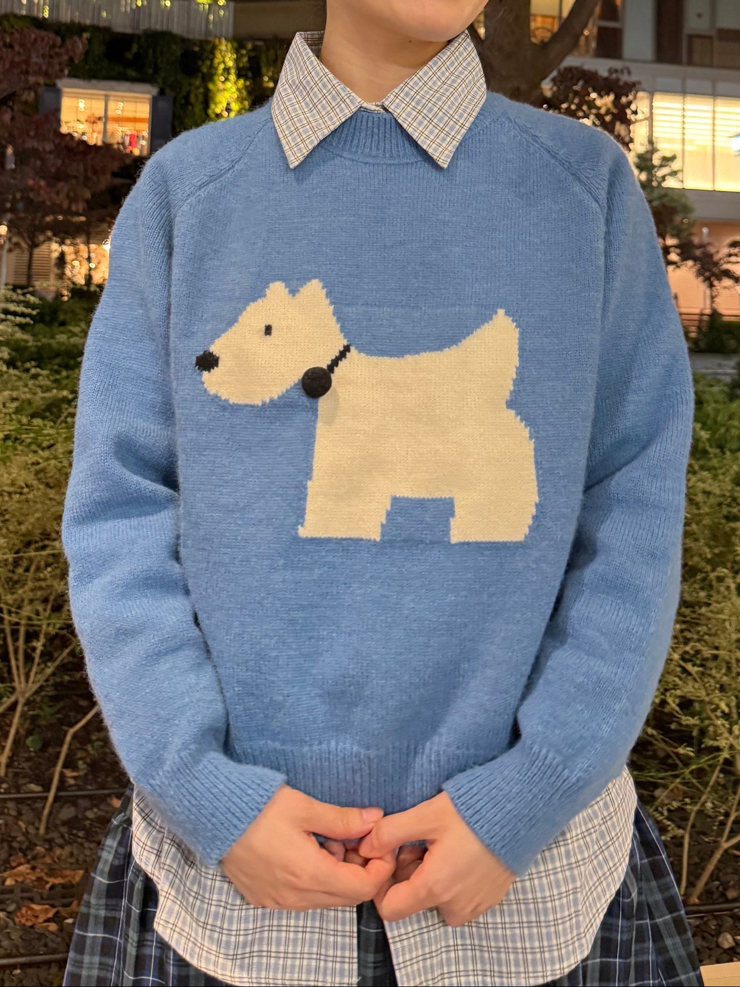 ドッグブルーニット DPA43674