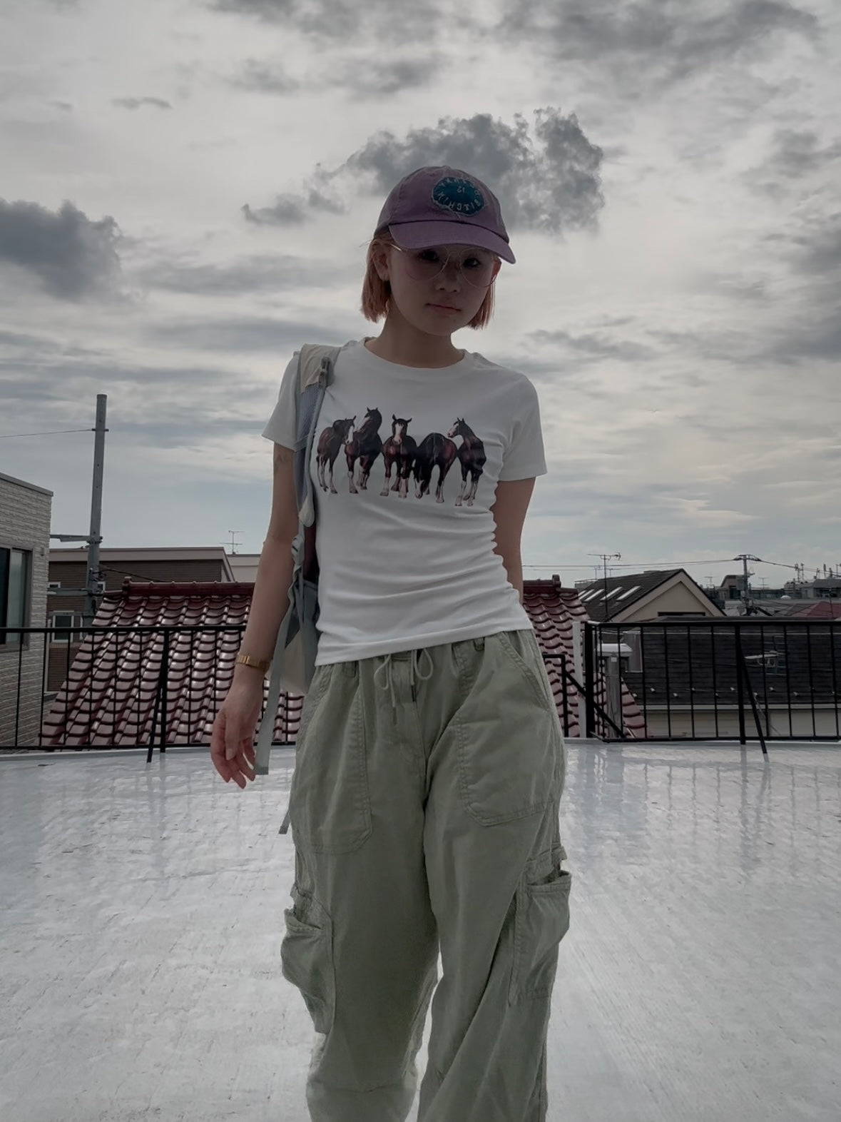 ホースTシャツ DPC04067