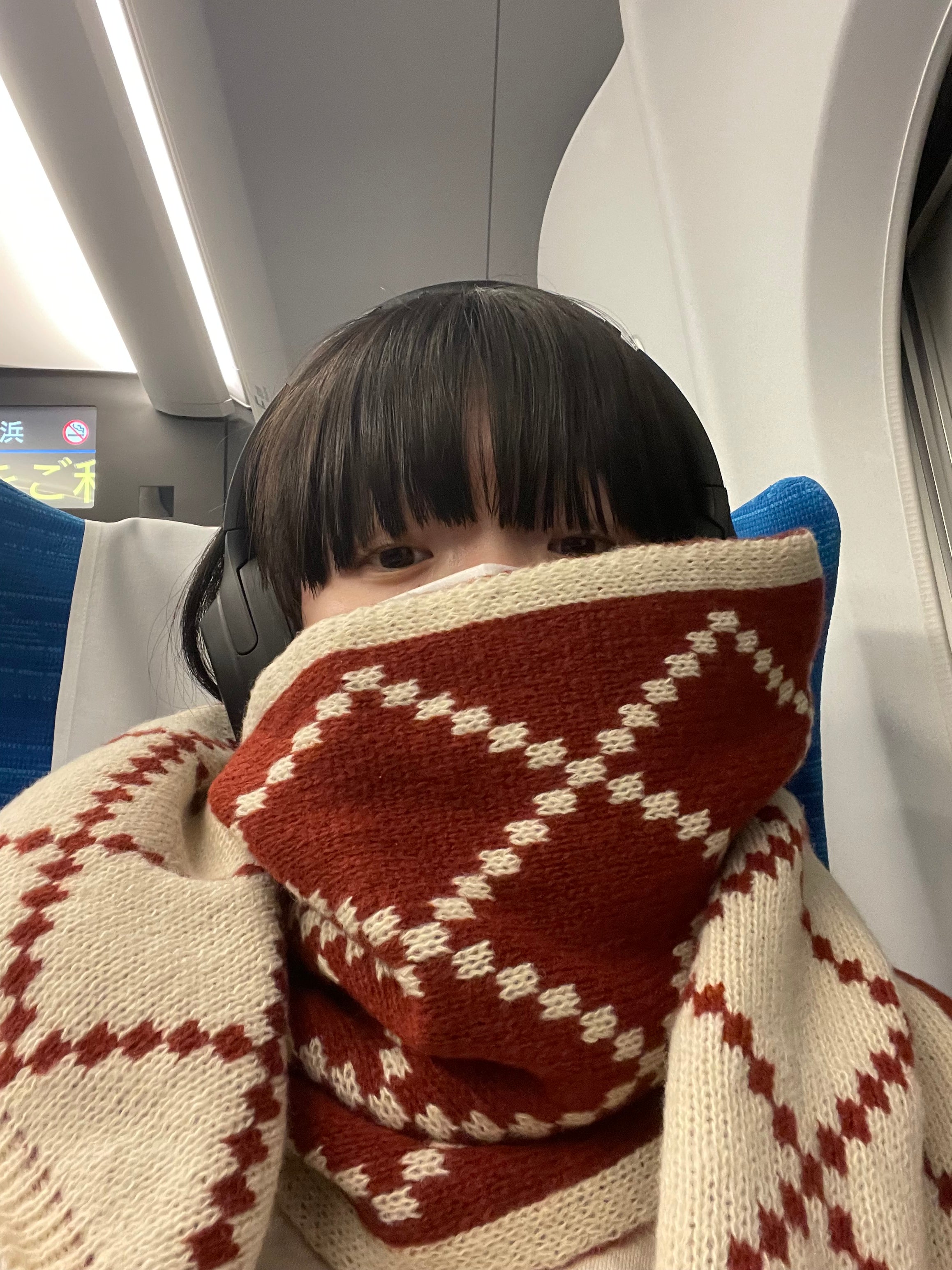希少⭐セリーヌ　チェック柄アルパカ混タートルニットトップスグリー　レア Re:EDIT ニット セーター 「2024-25 WINTER COLLECTION