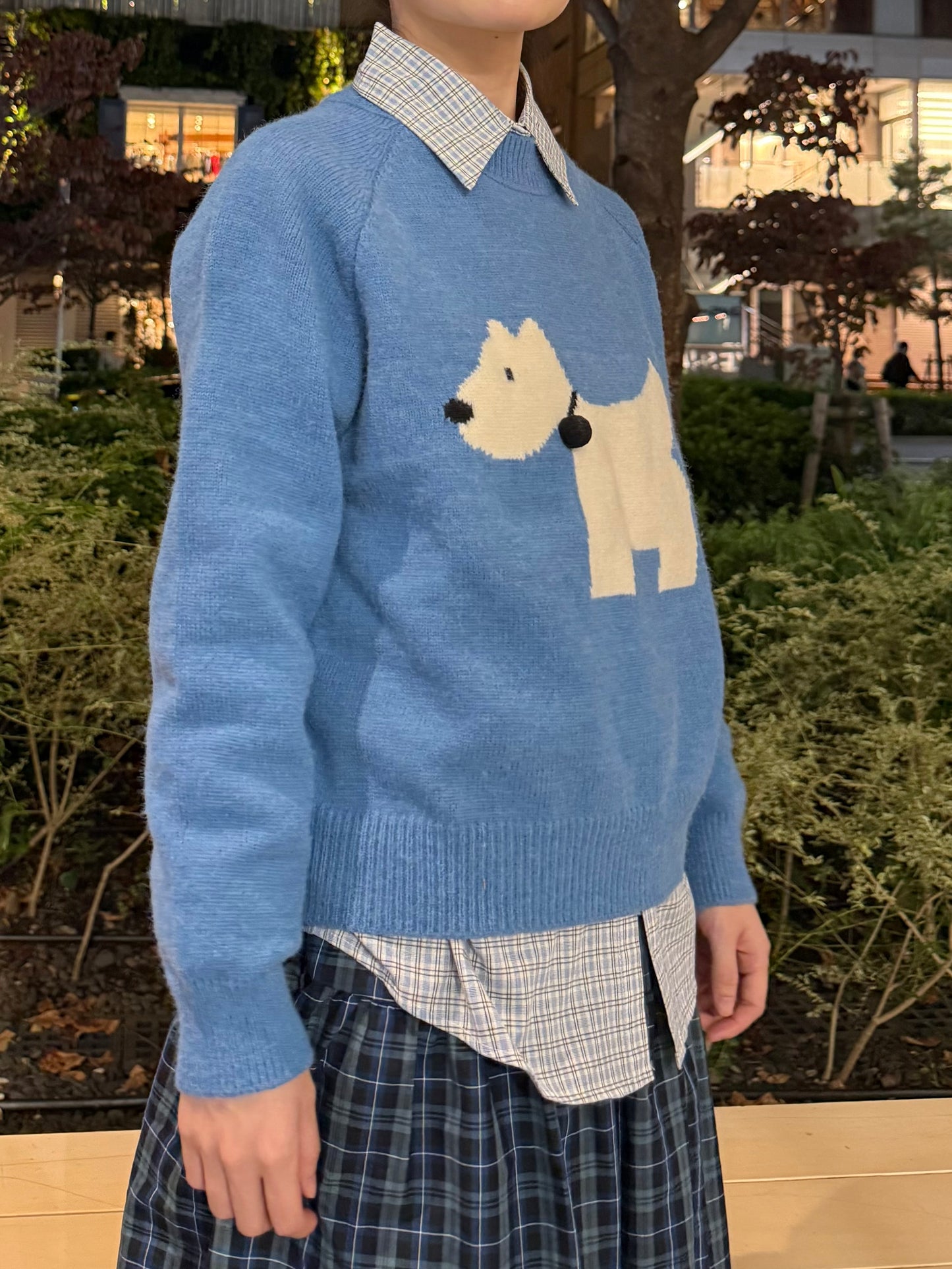 ドッグブルーニット DPA43674