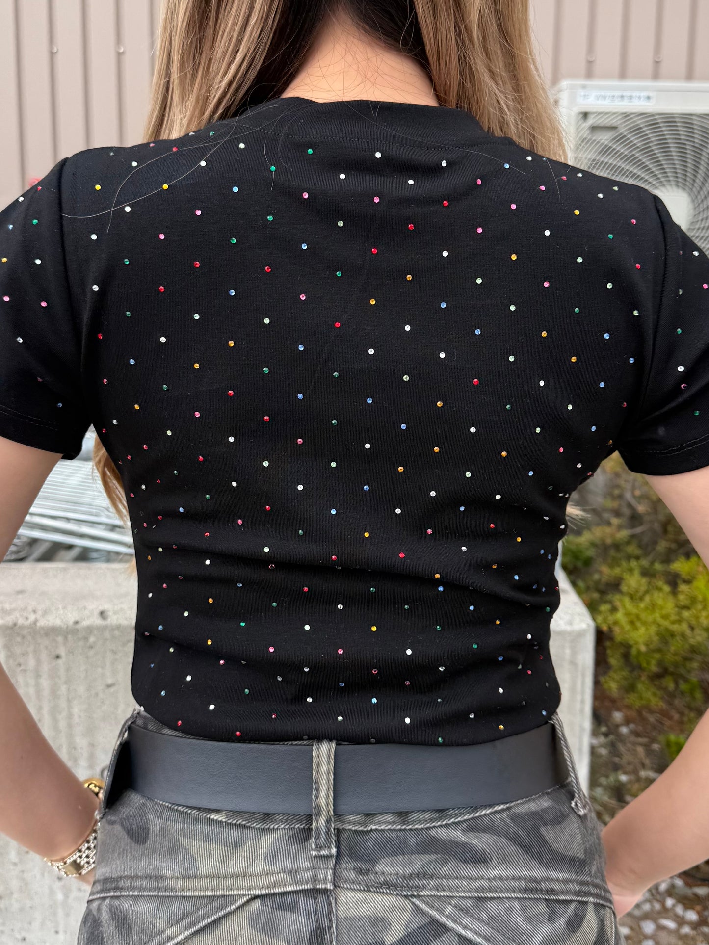 ストーンTシャツ DPB73667