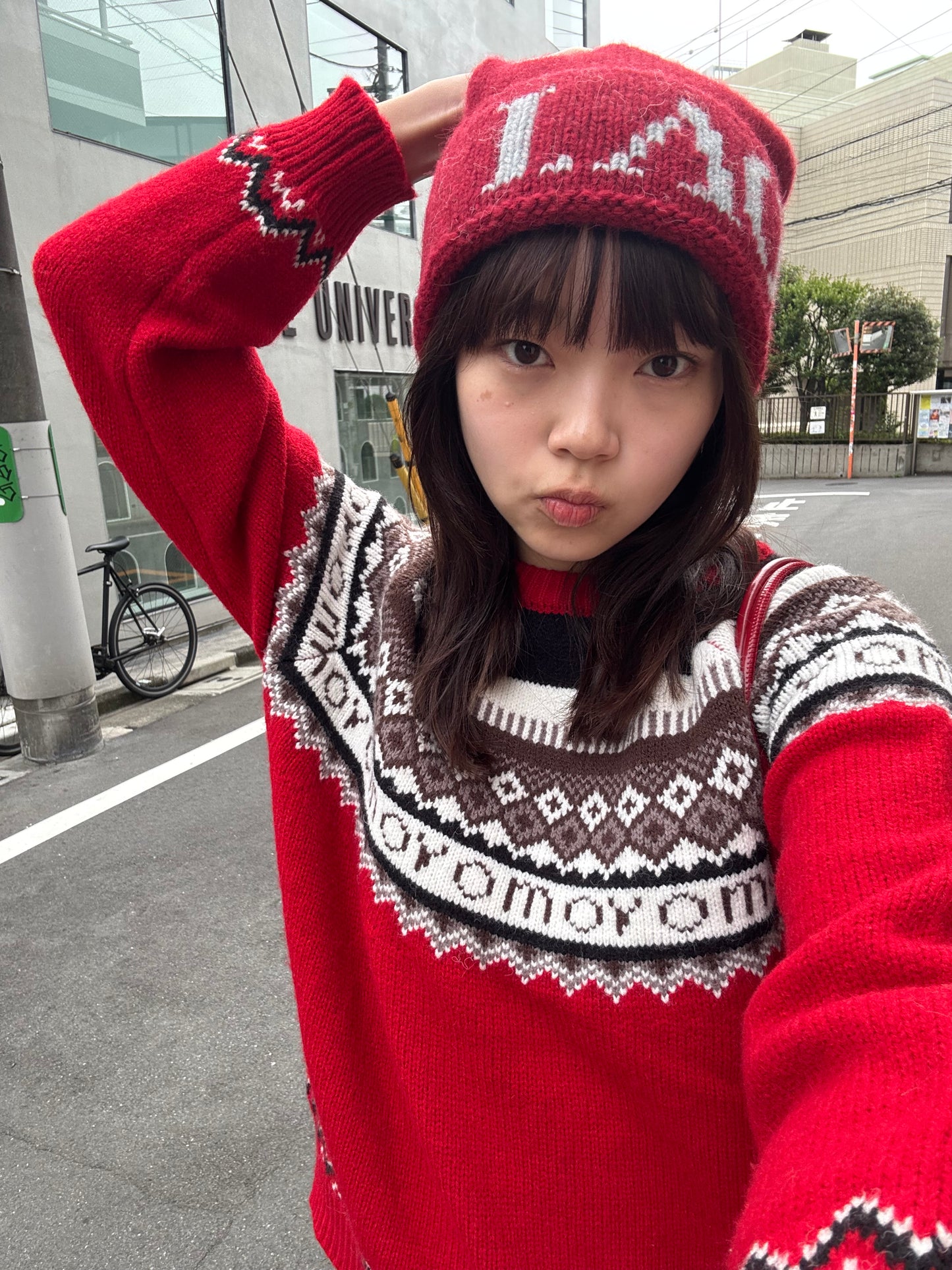 ノルディック柄ニットプルオーバー DPB91055