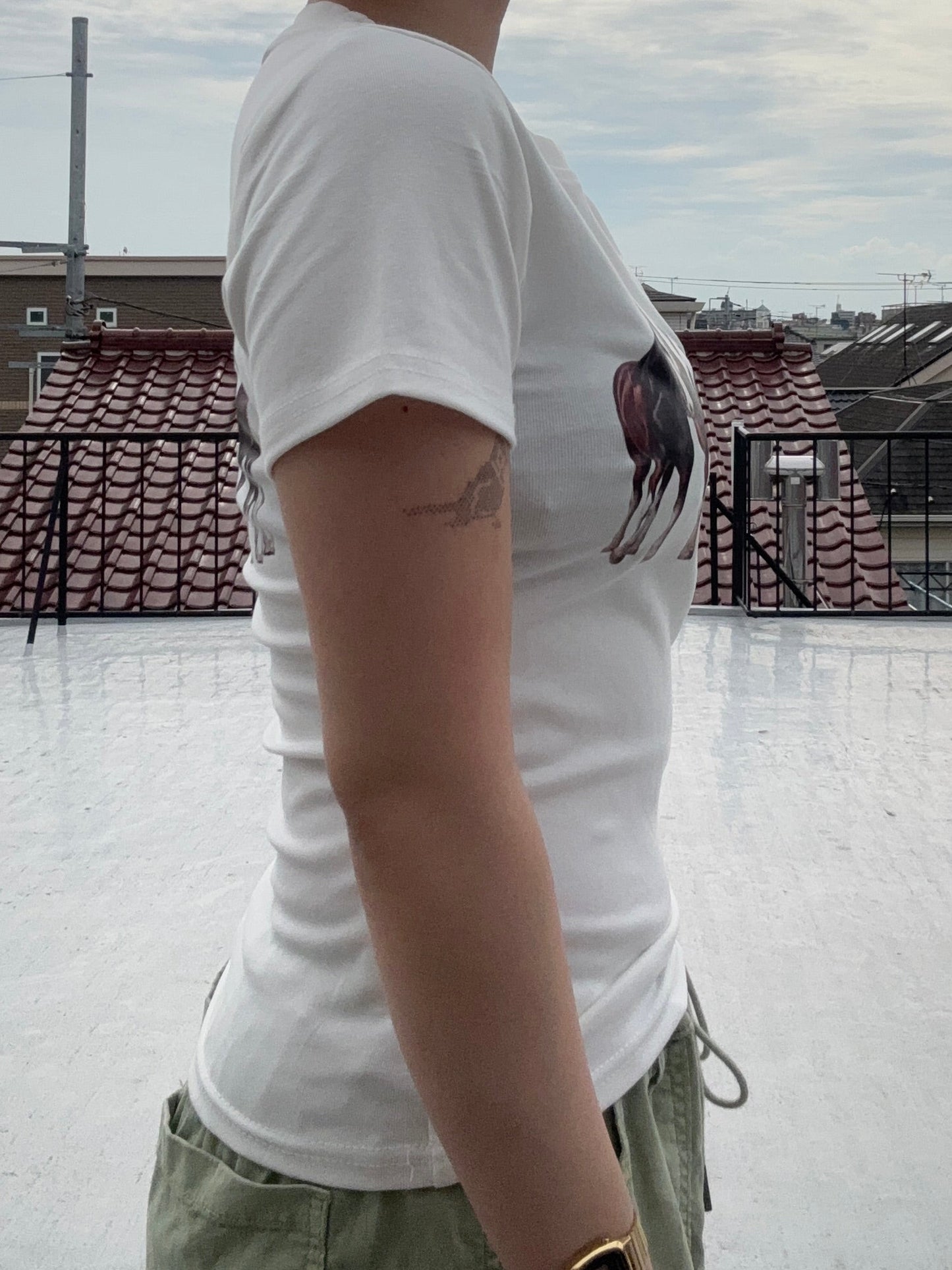 ホースTシャツ DPC04067