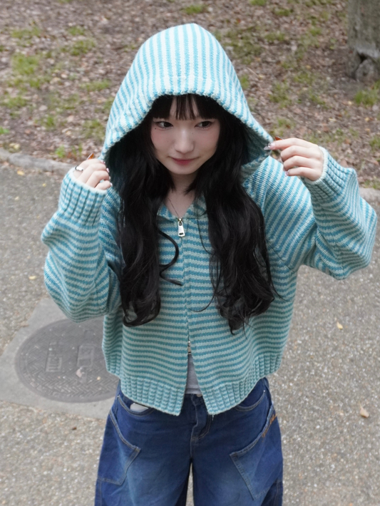 ボーダーニットダブルジップパーカー DPB85367