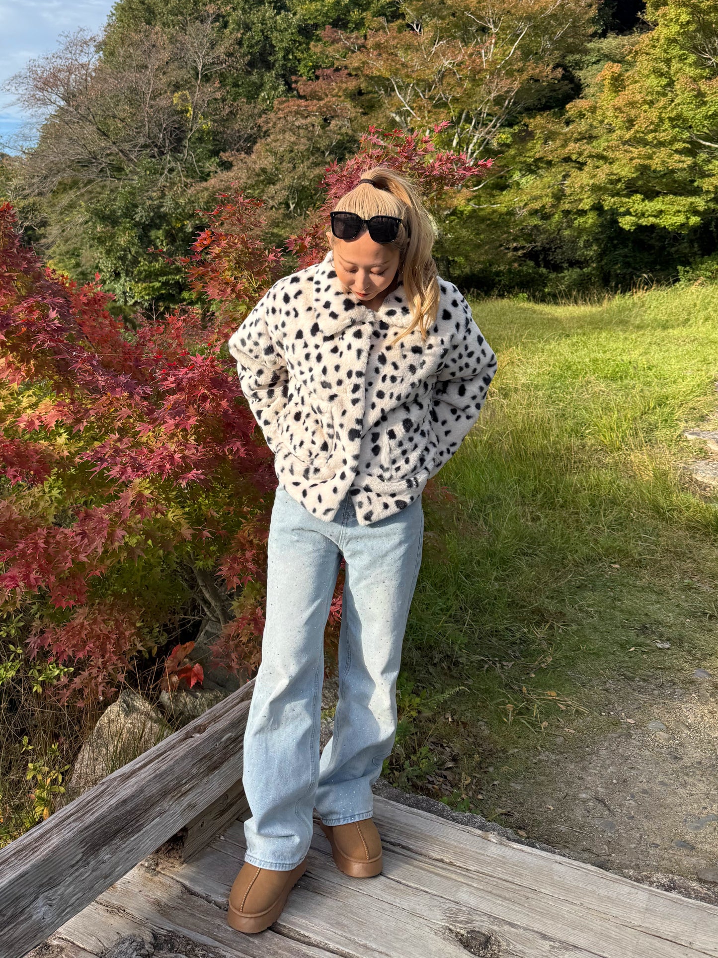 ダルメシアンアウター DPB73519