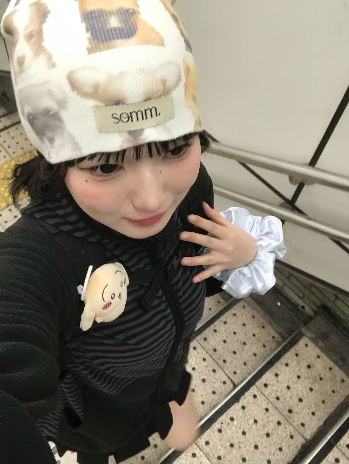 somm.ドッグビーニー DPB85461