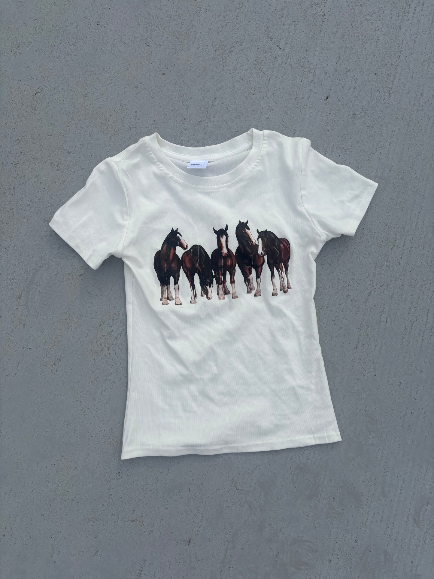 ホースTシャツ DPC04067