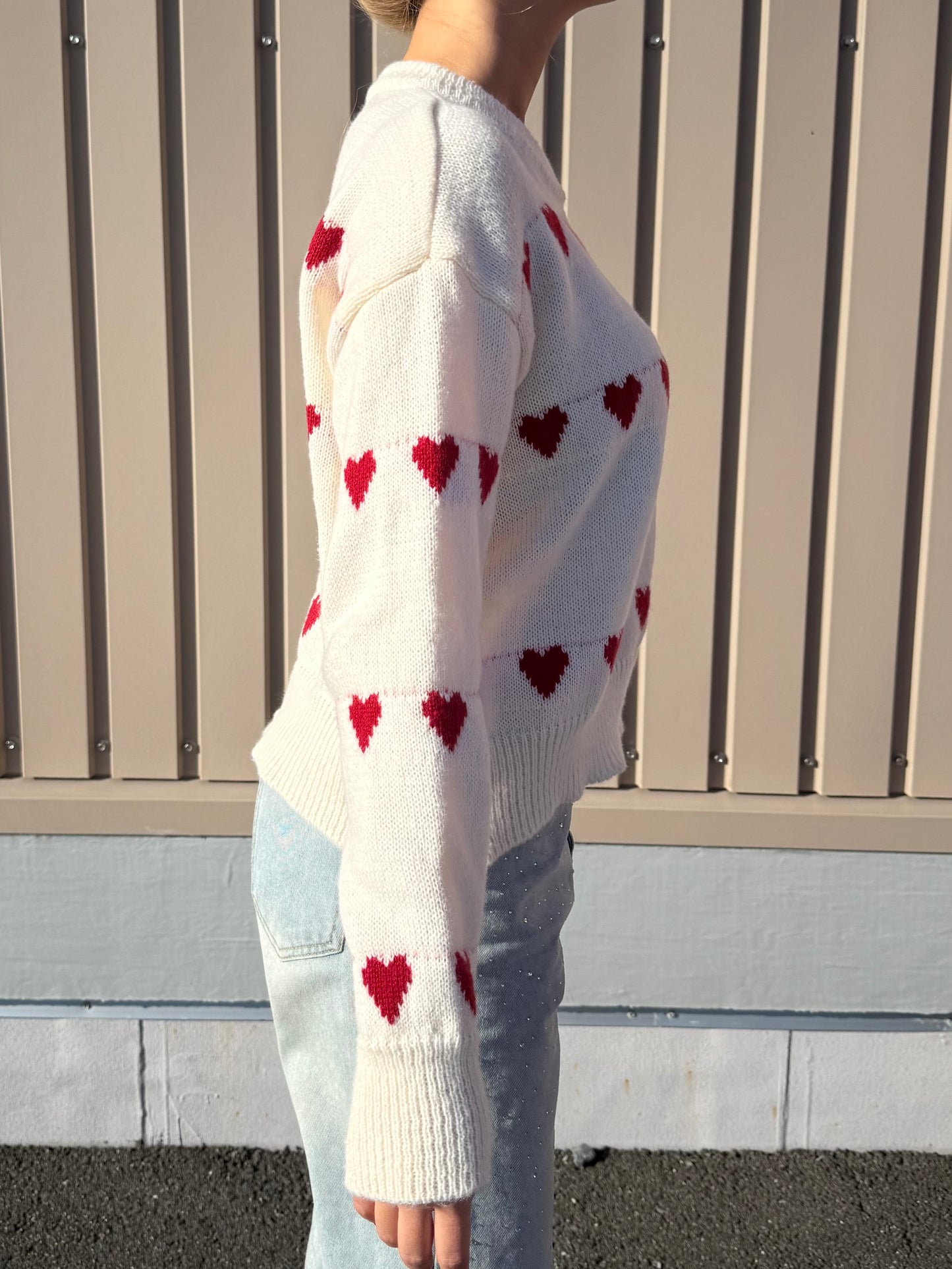 ラインハートニット DPB73483