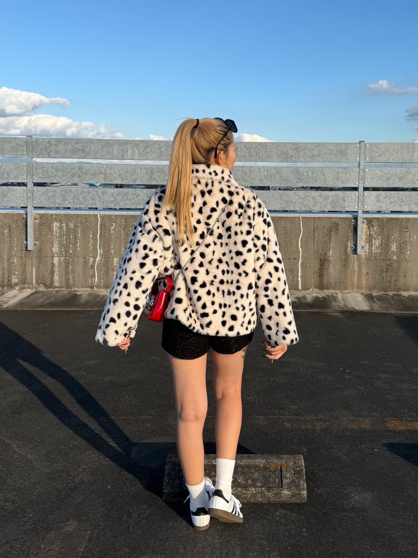 ダルメシアンアウター DPB73519