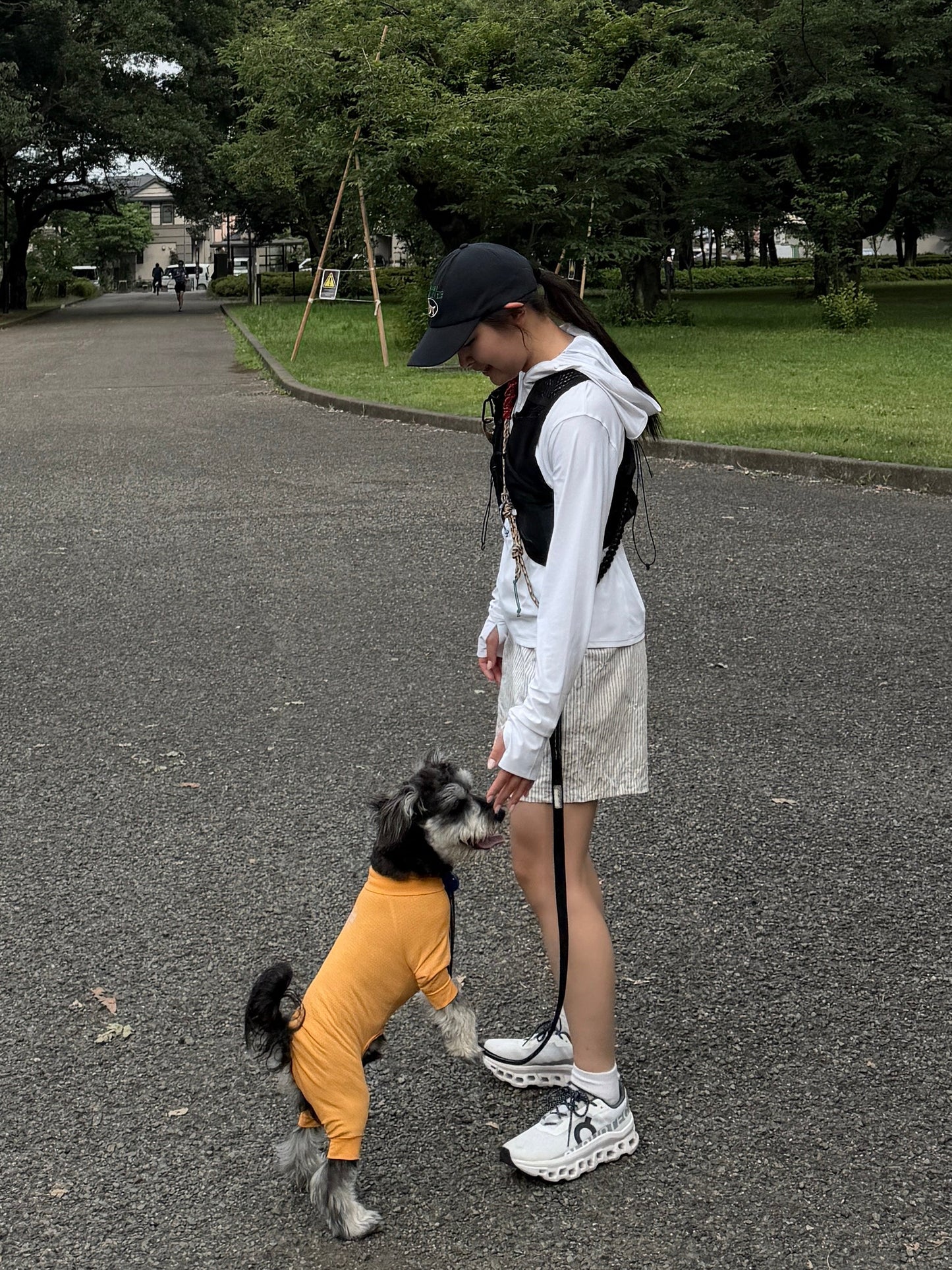 リボンストライプハーフパンツ DPB78291