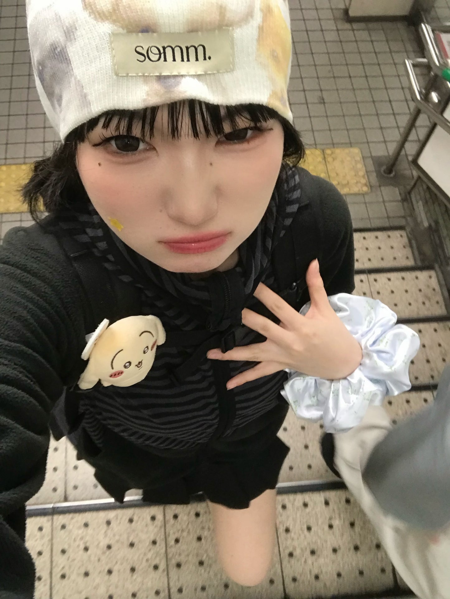 somm.ドッグビーニー DPB85461