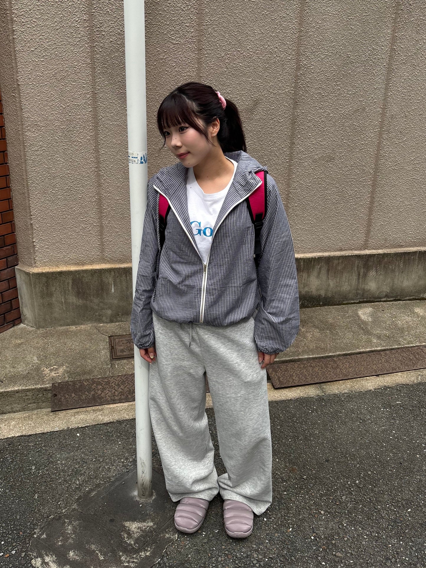 ストライプマウンテンパーカー DPB89081