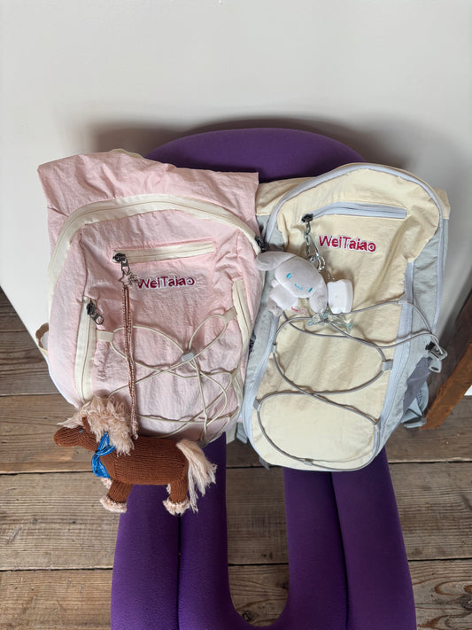 カラー撥水リュックサック DPC04051