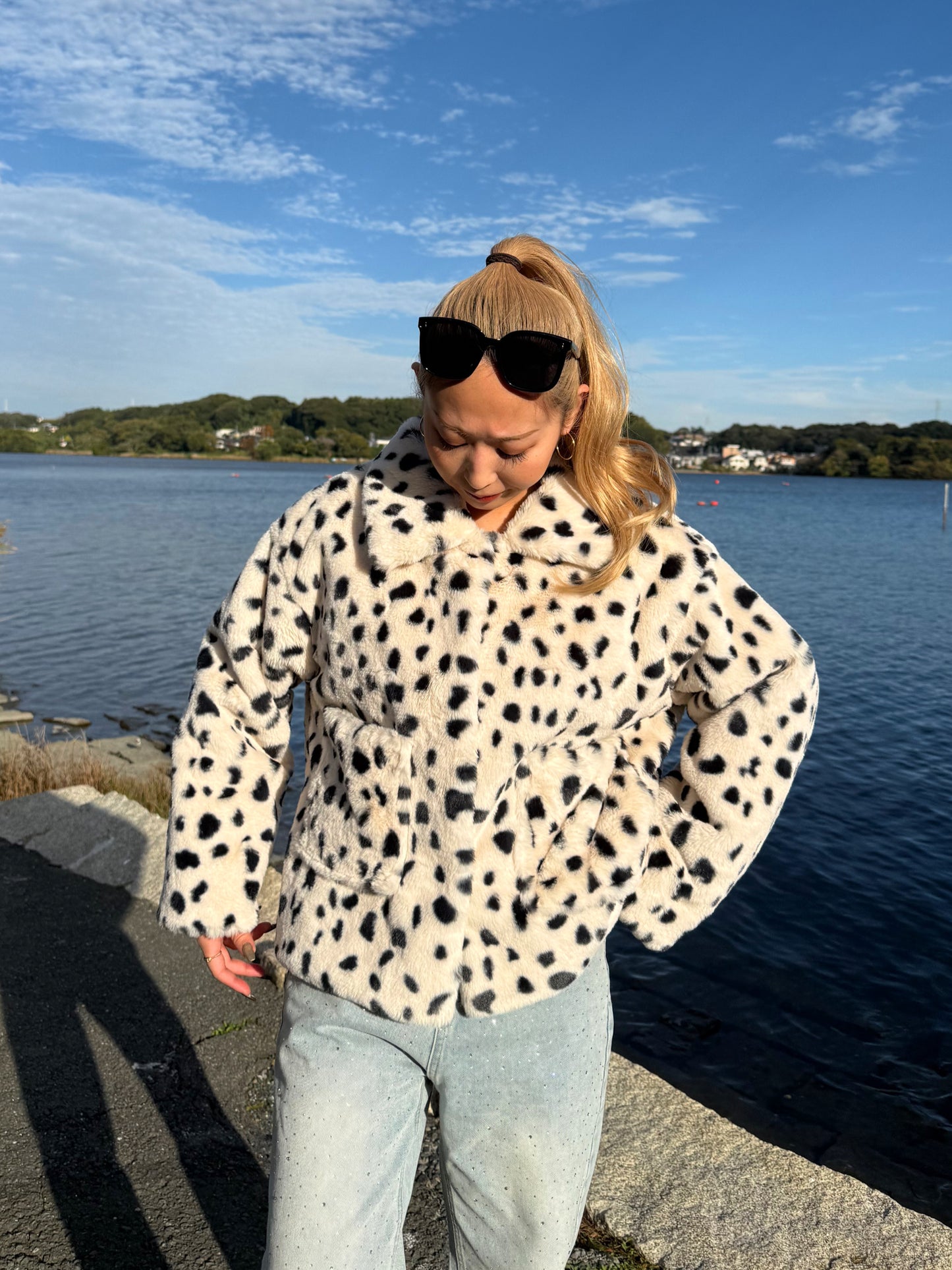 ダルメシアンアウター DPB73519