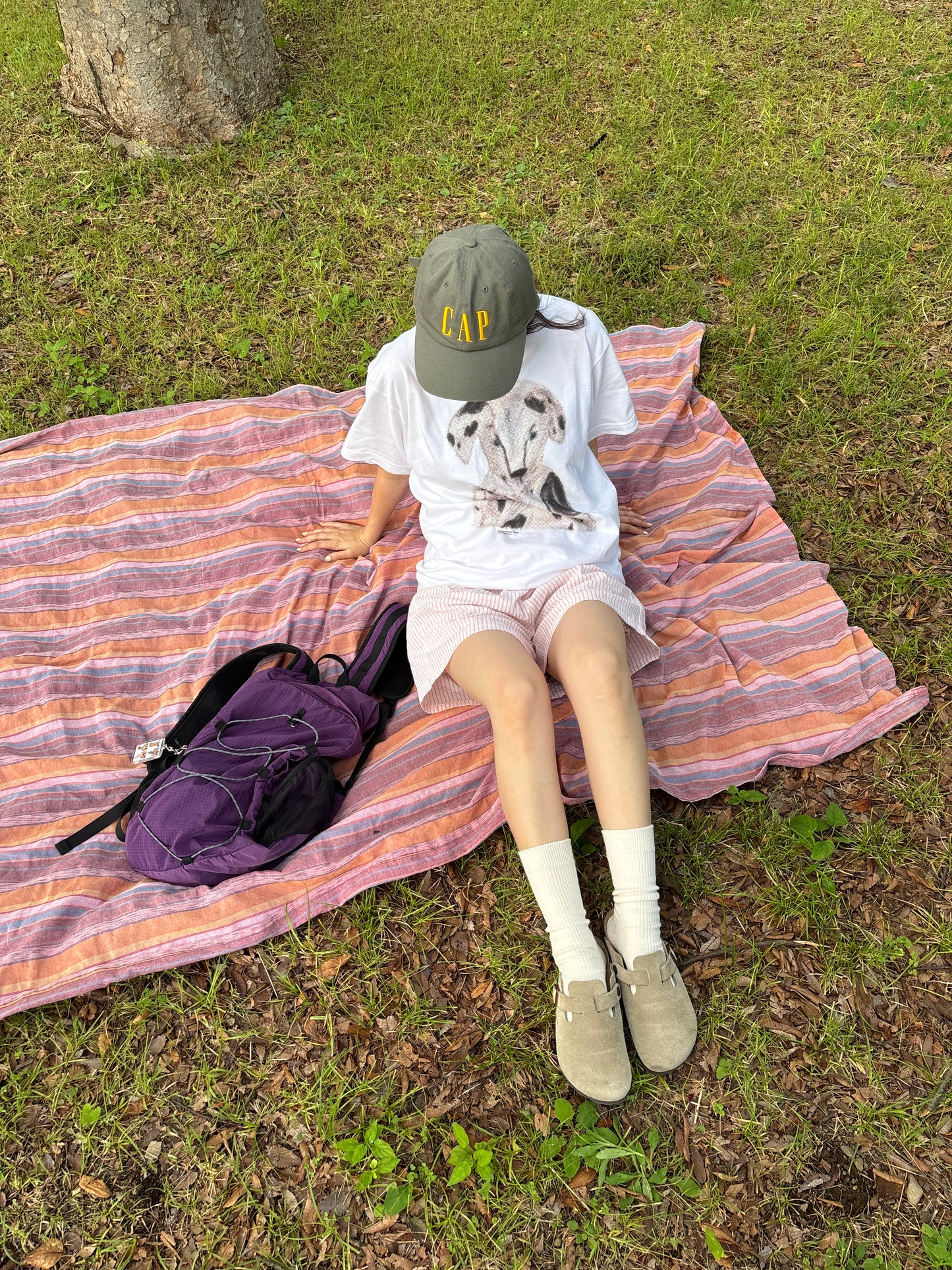 ピンクストライプショートパンツ DPB84354