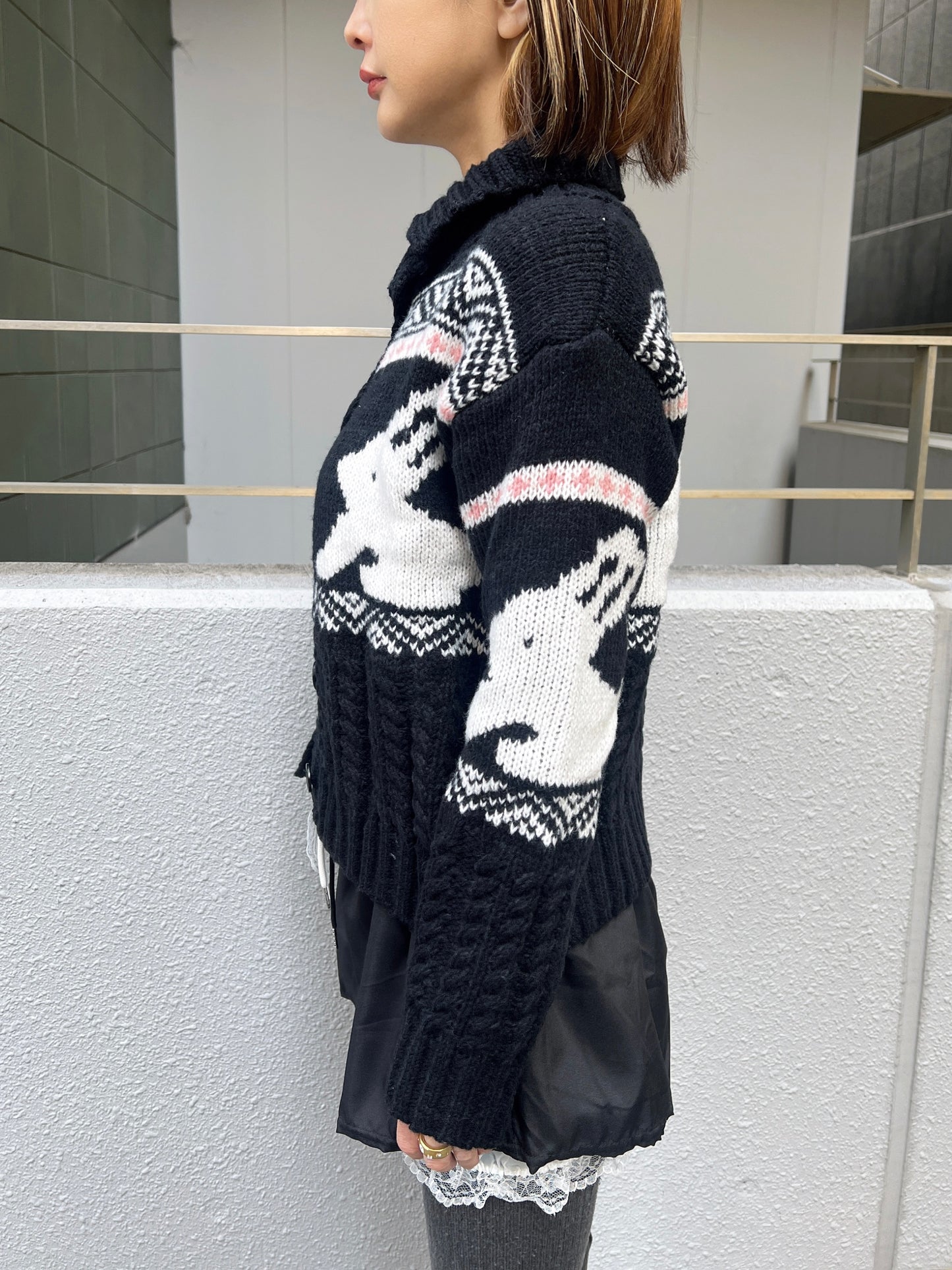 ラビットノルディックニット DPB79079