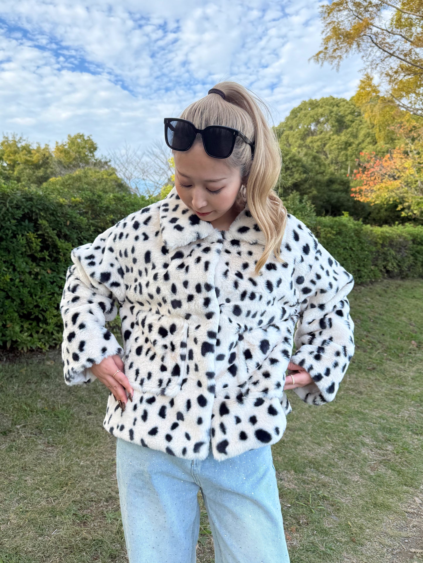 ダルメシアンアウター DPB73519