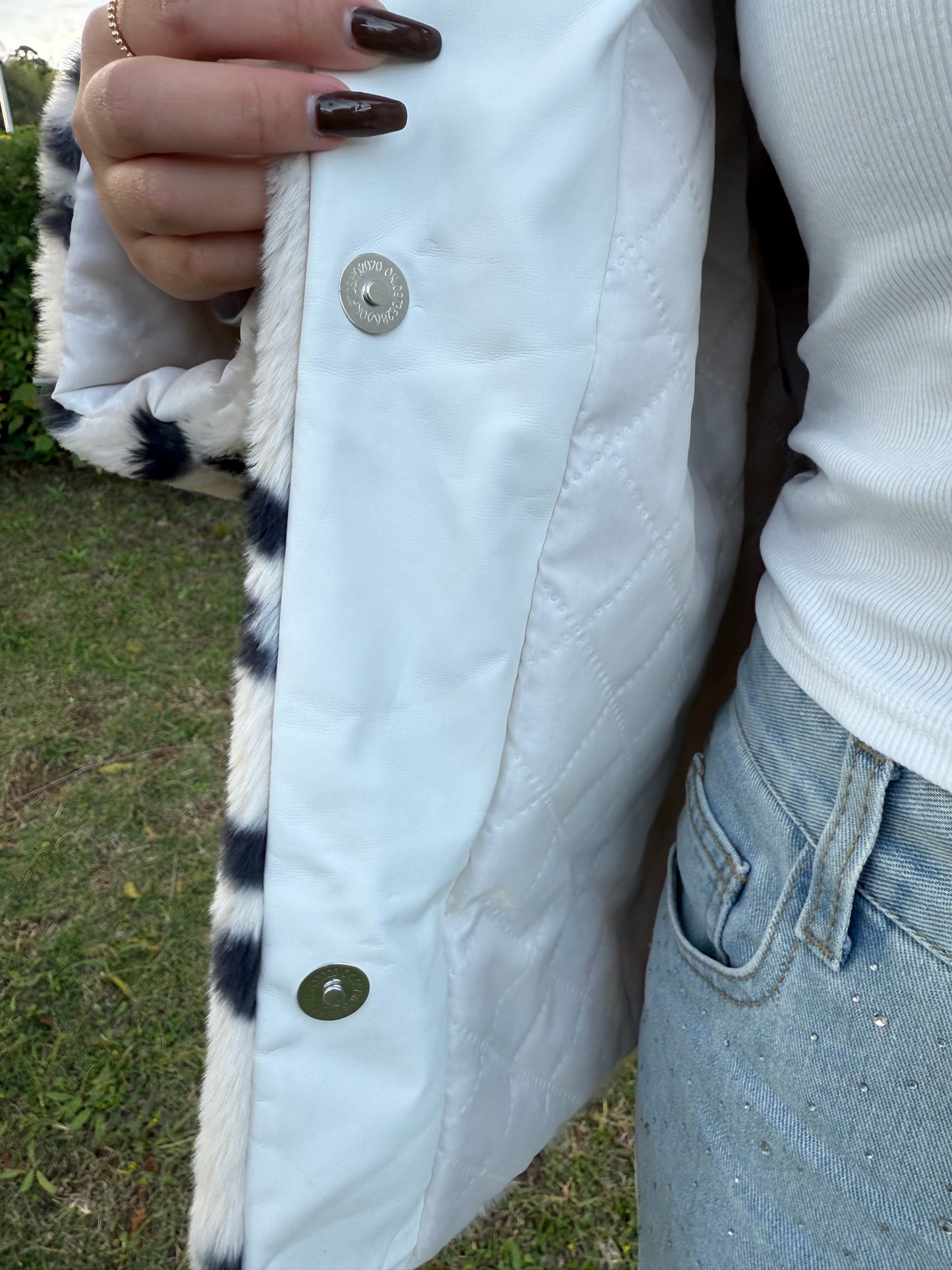 ダルメシアンアウター DPB73519