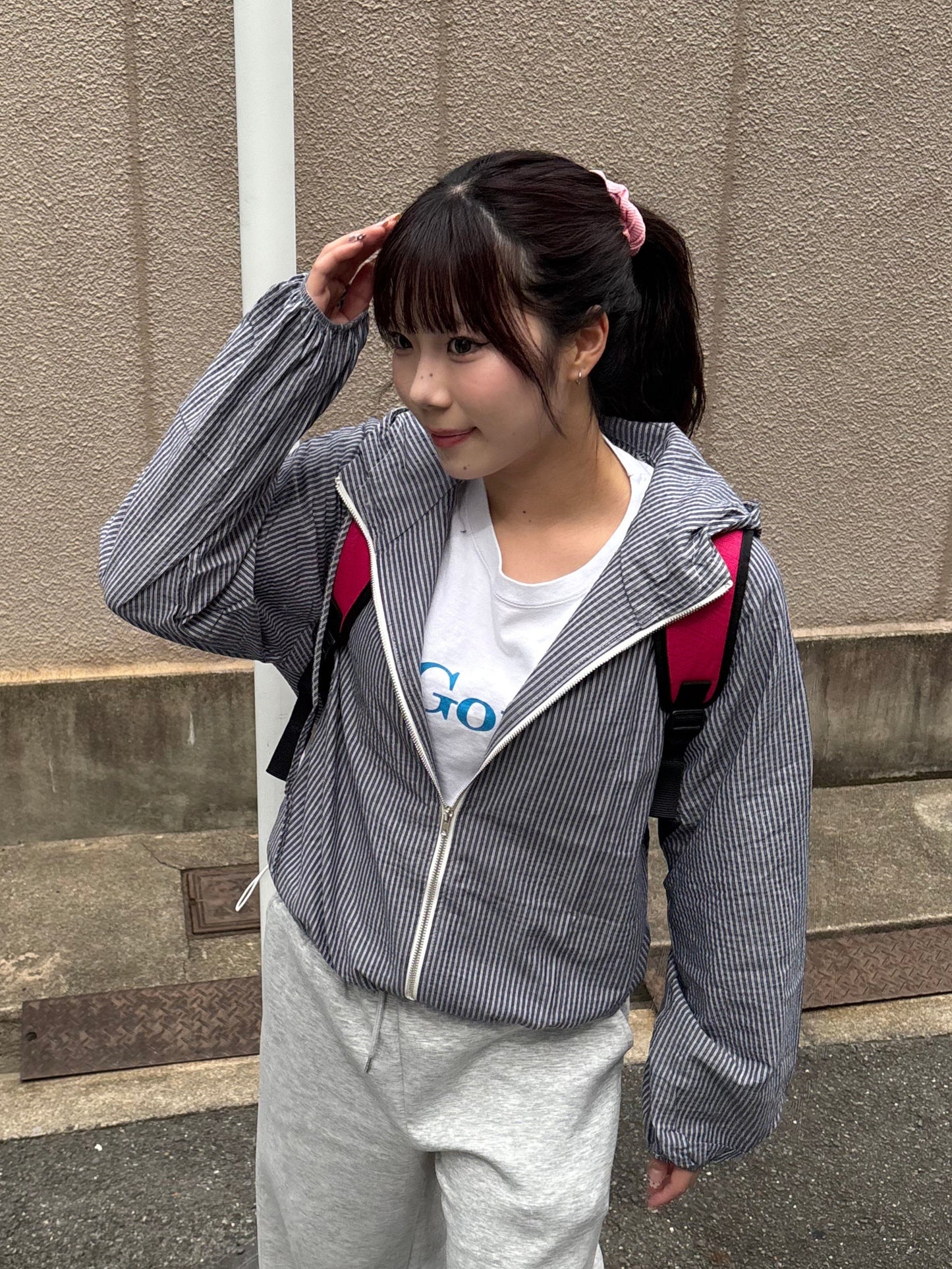 ストライプマウンテンパーカー DPB89081